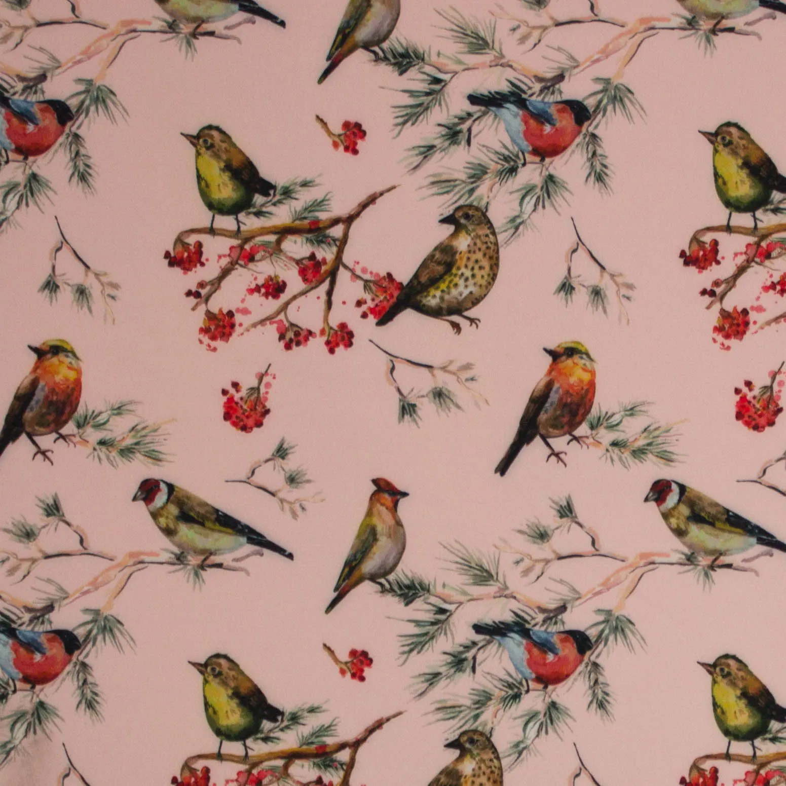 Softshell in roze met vogeltjes