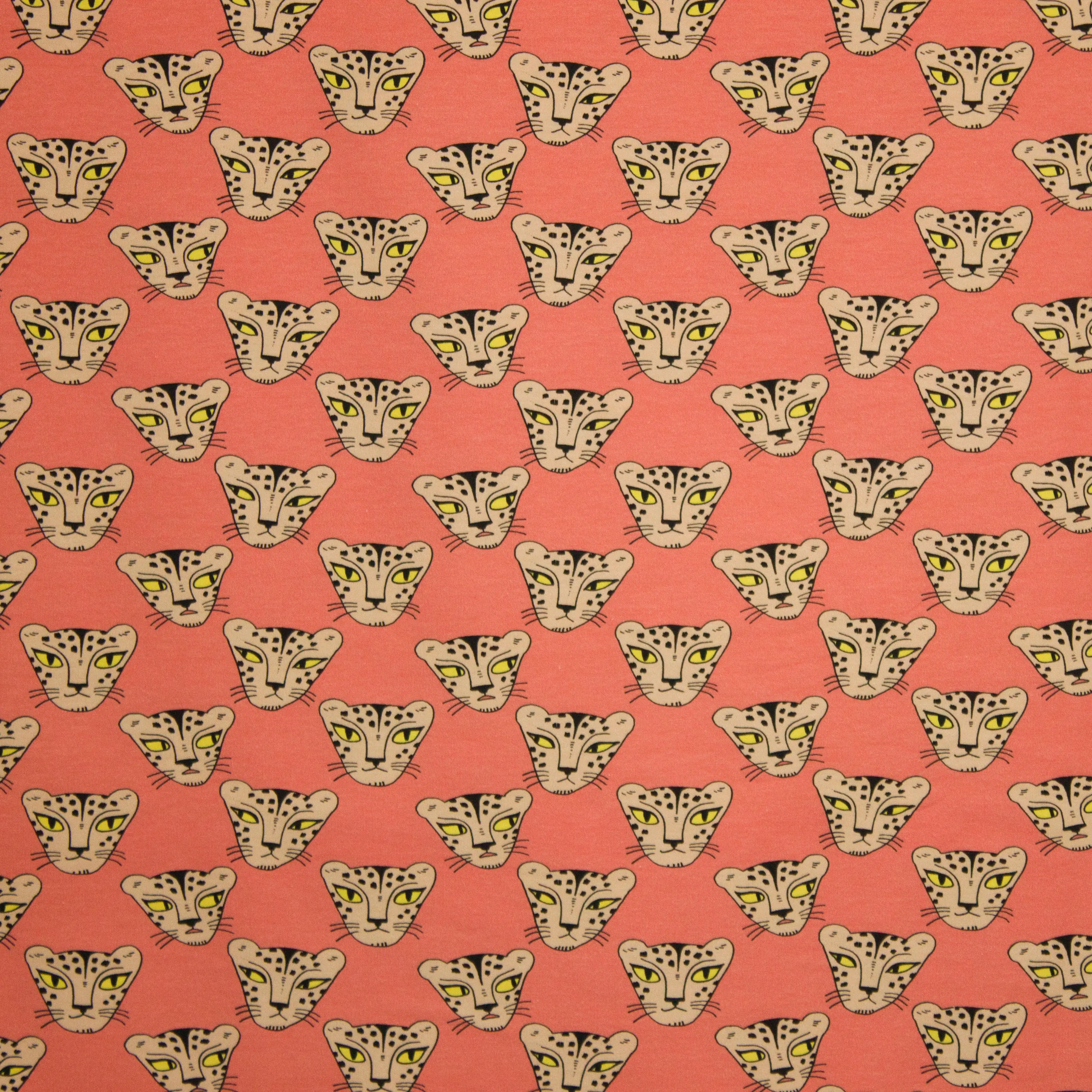 French terry Eva's Cheetah's