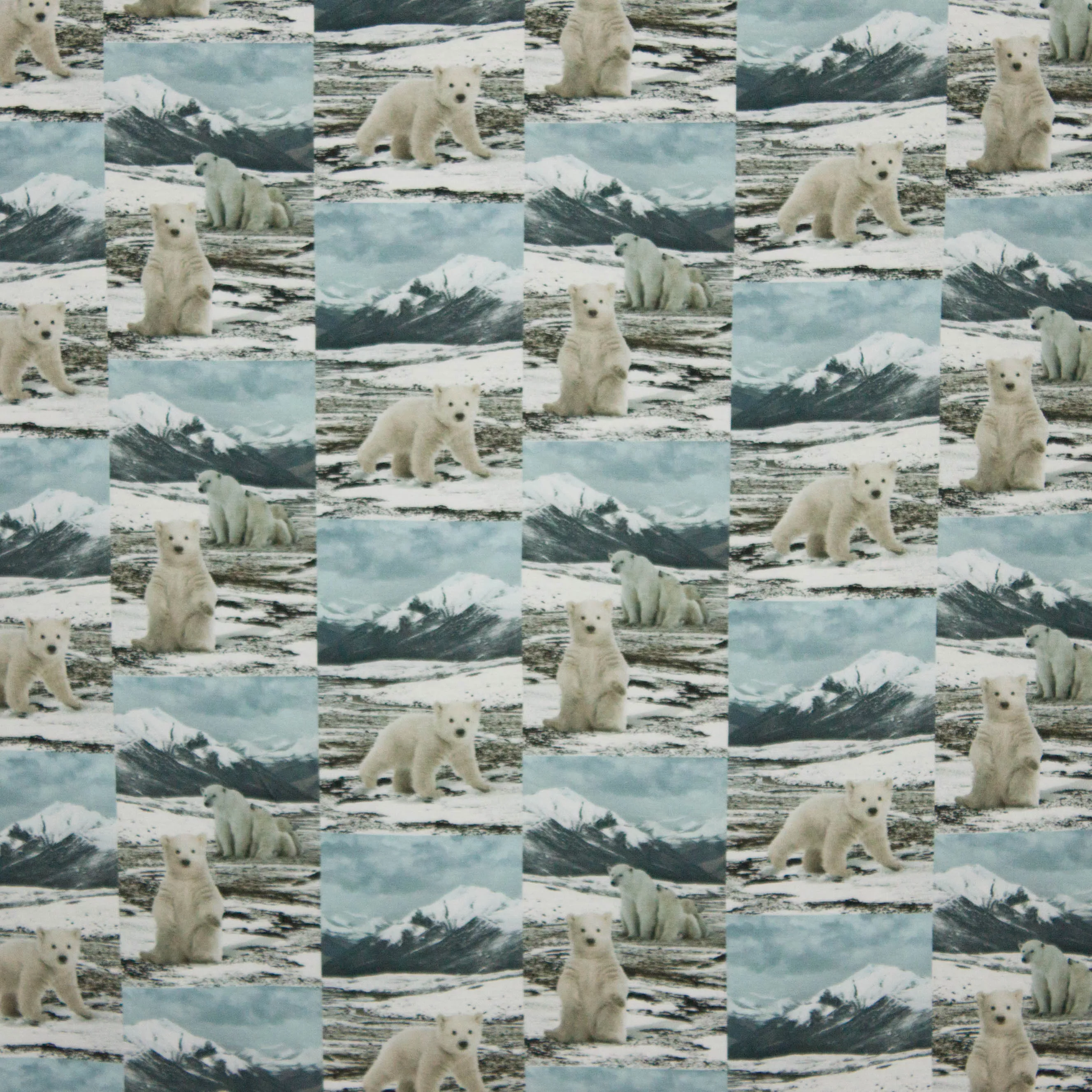 tricot met ijsbeertjes