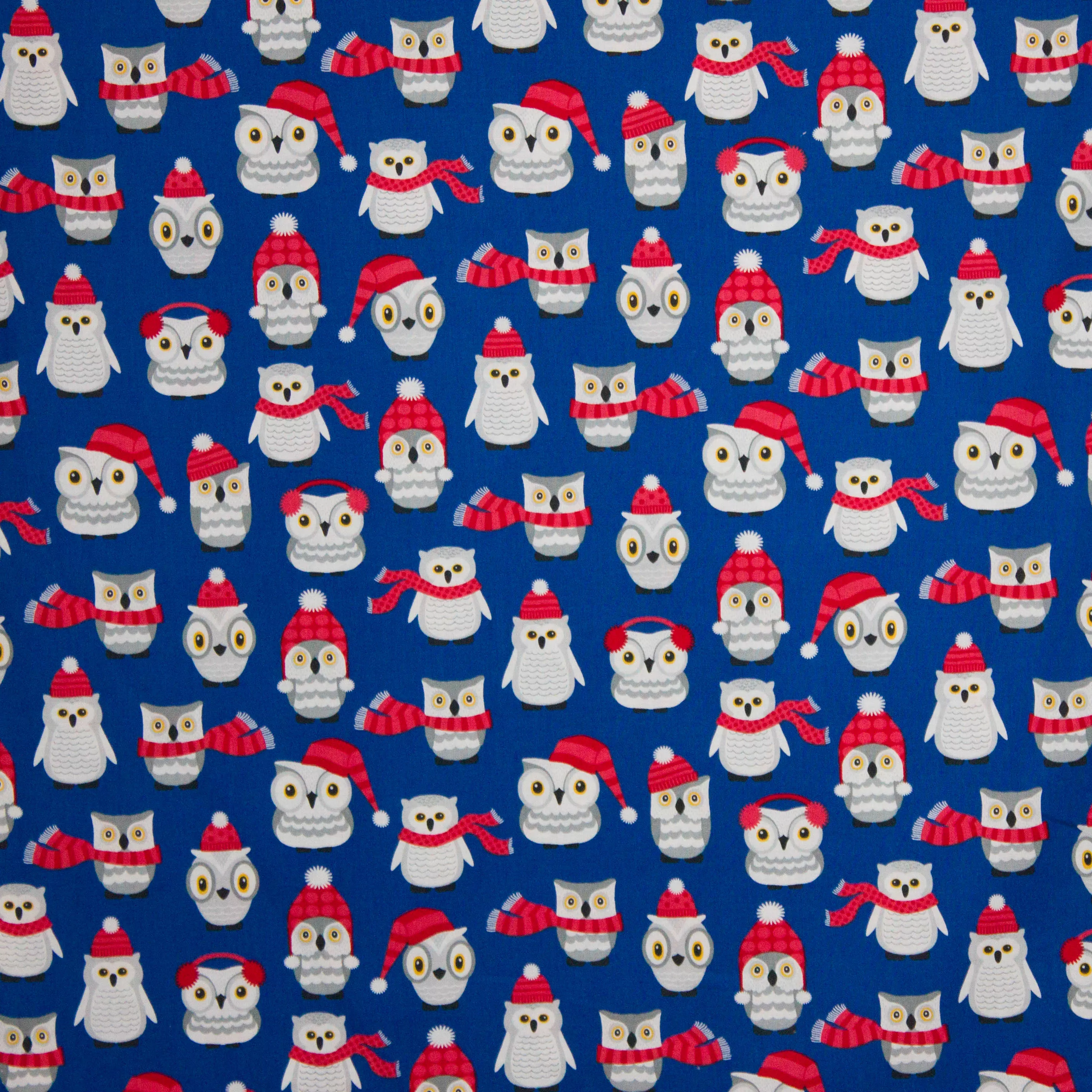 Polar Pals Royal