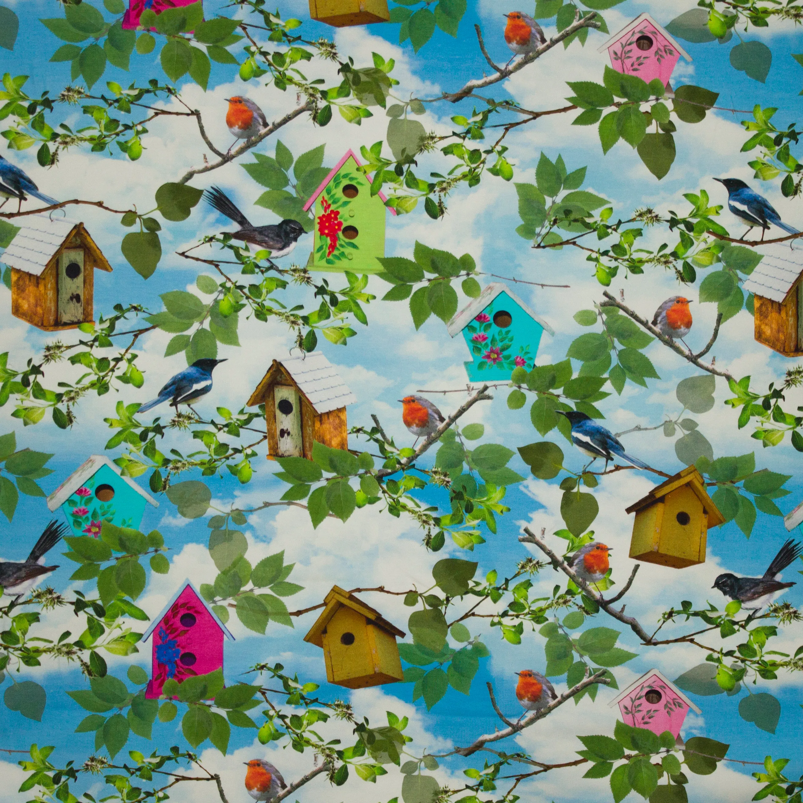 Tricot met vogelkastjes