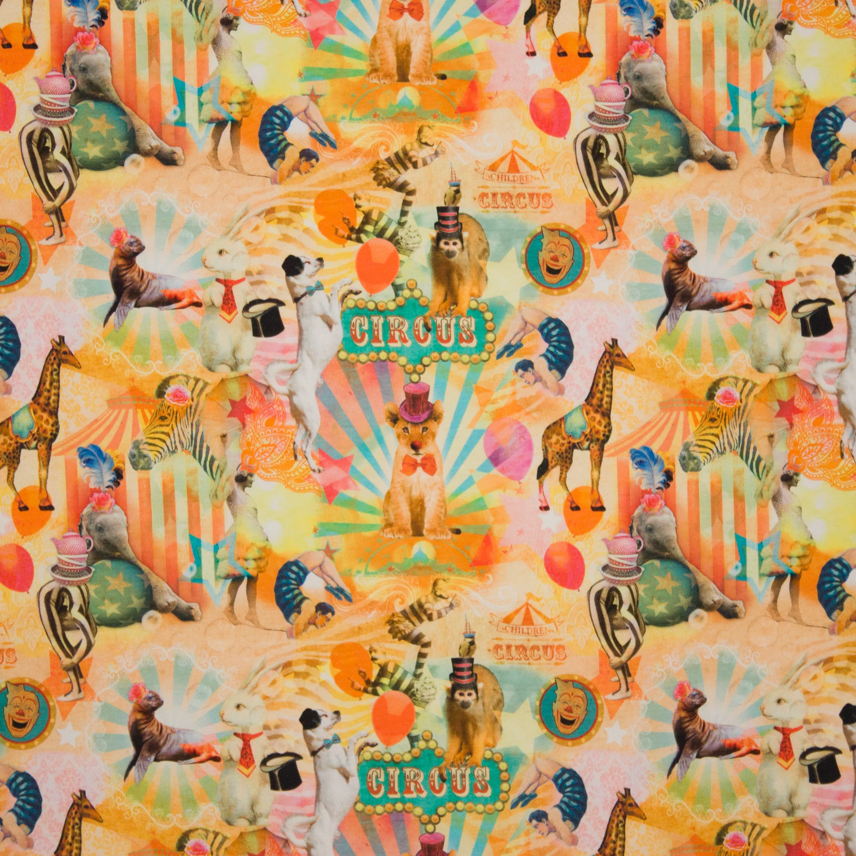 Tricot met circustafereel