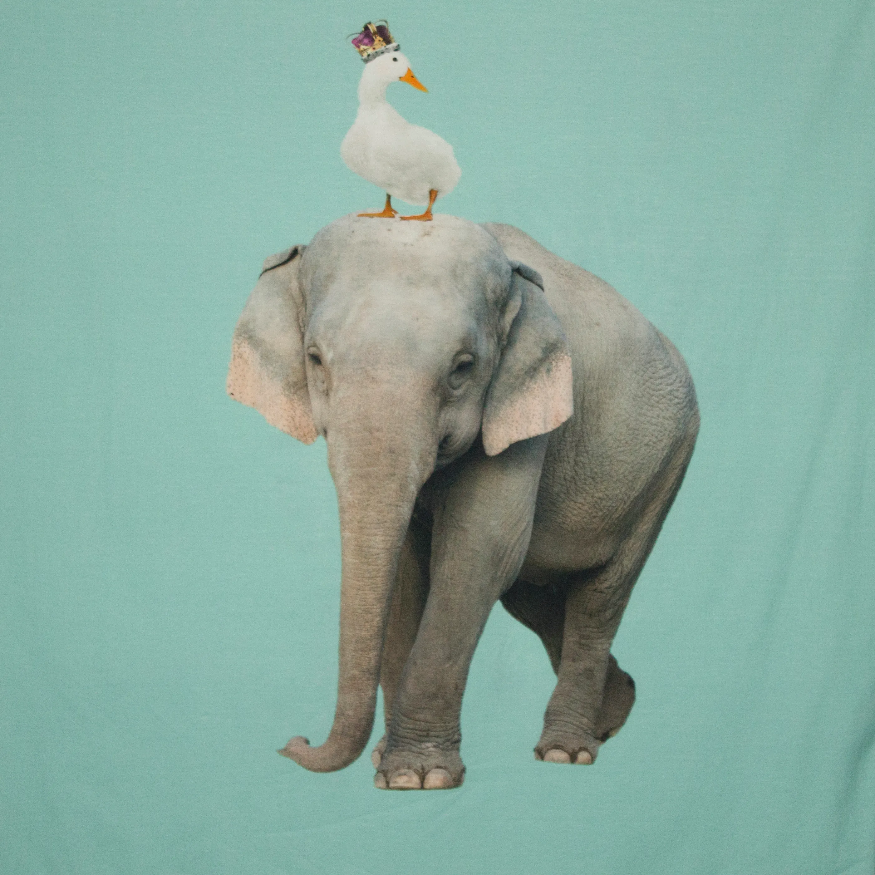 Tricot met dierenprint