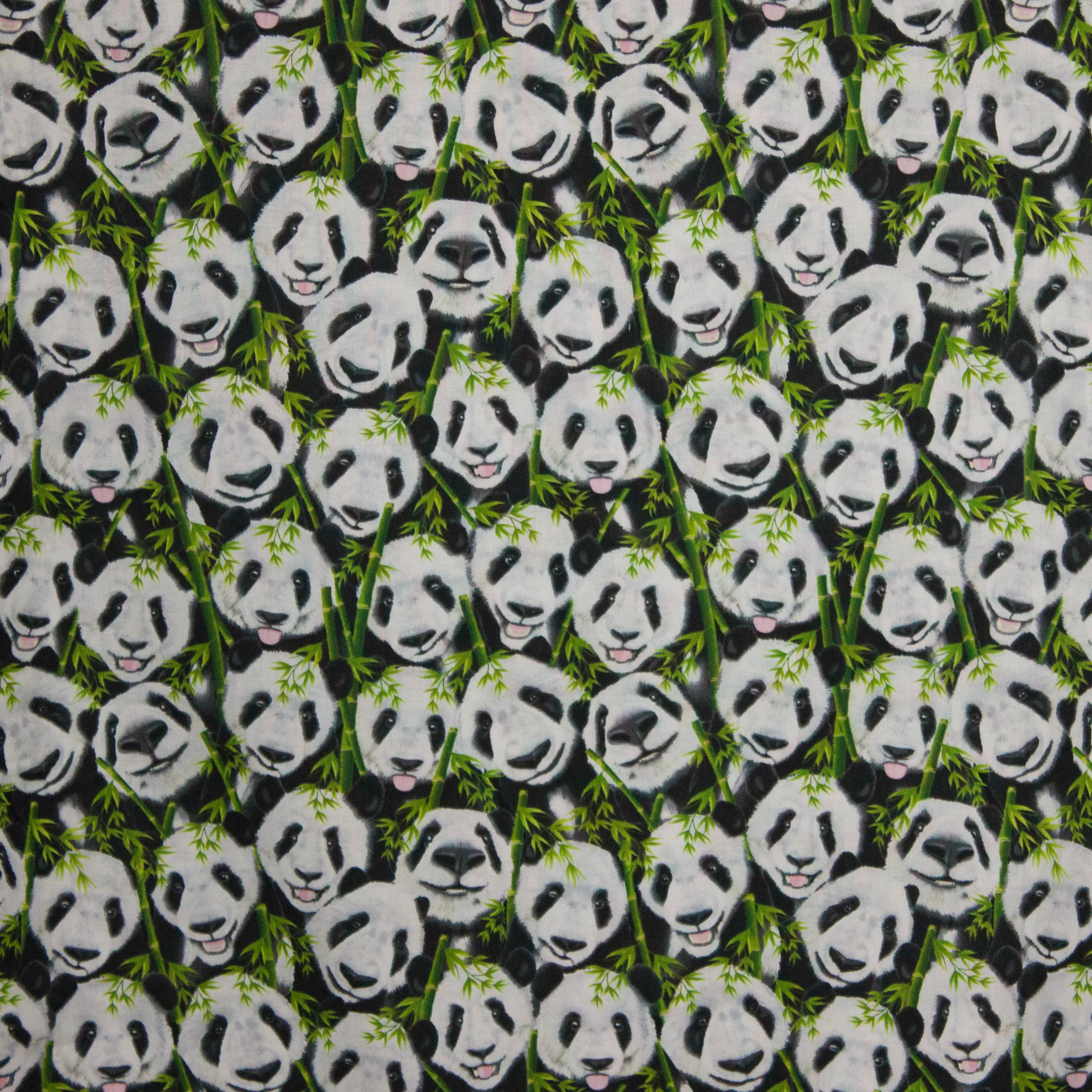 Katoen Michael Panda