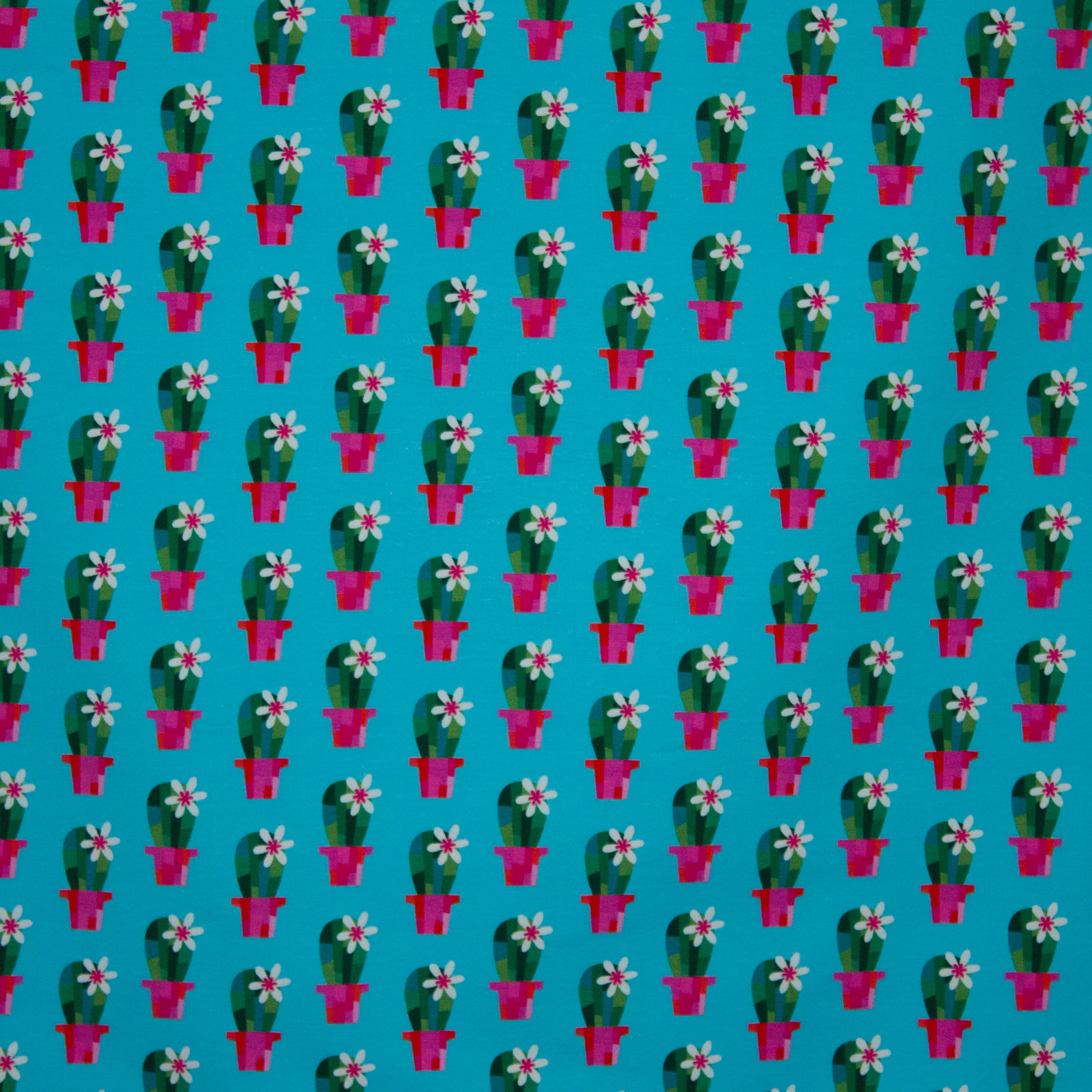 French terry Cactusblossom