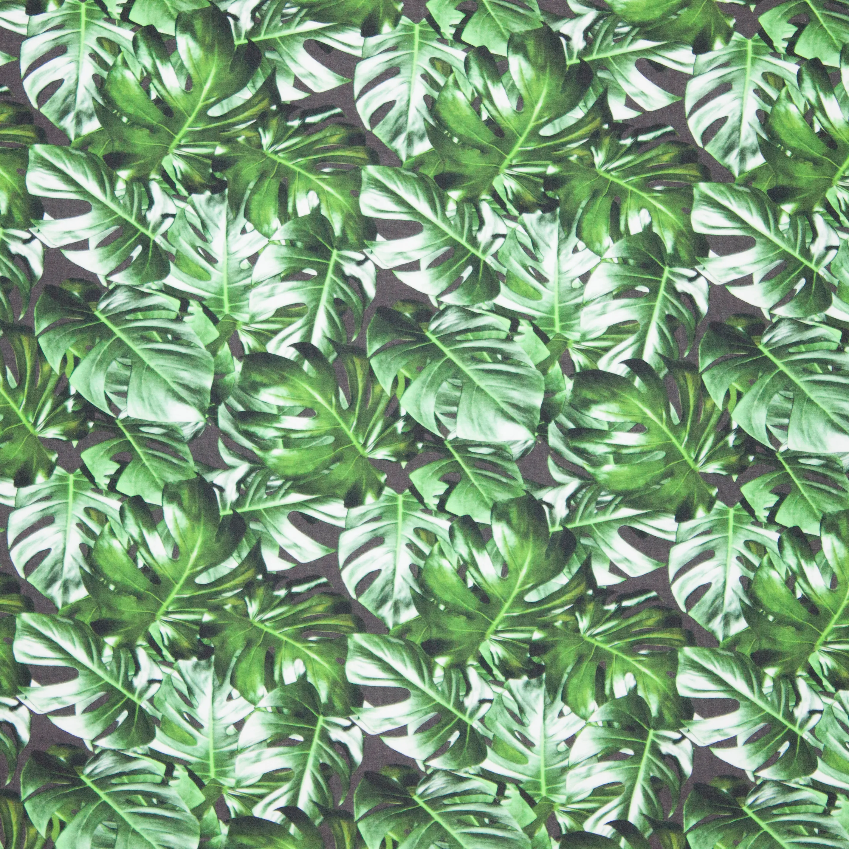 katoentricot groene bladeren Monstera