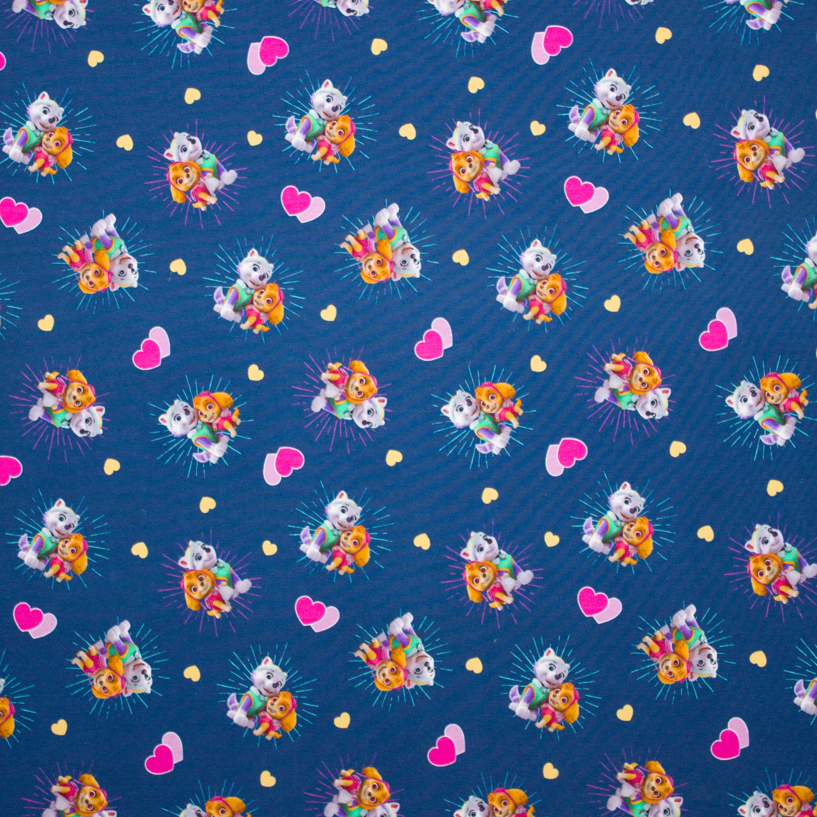 Blauwe tricot van Paw Patrol