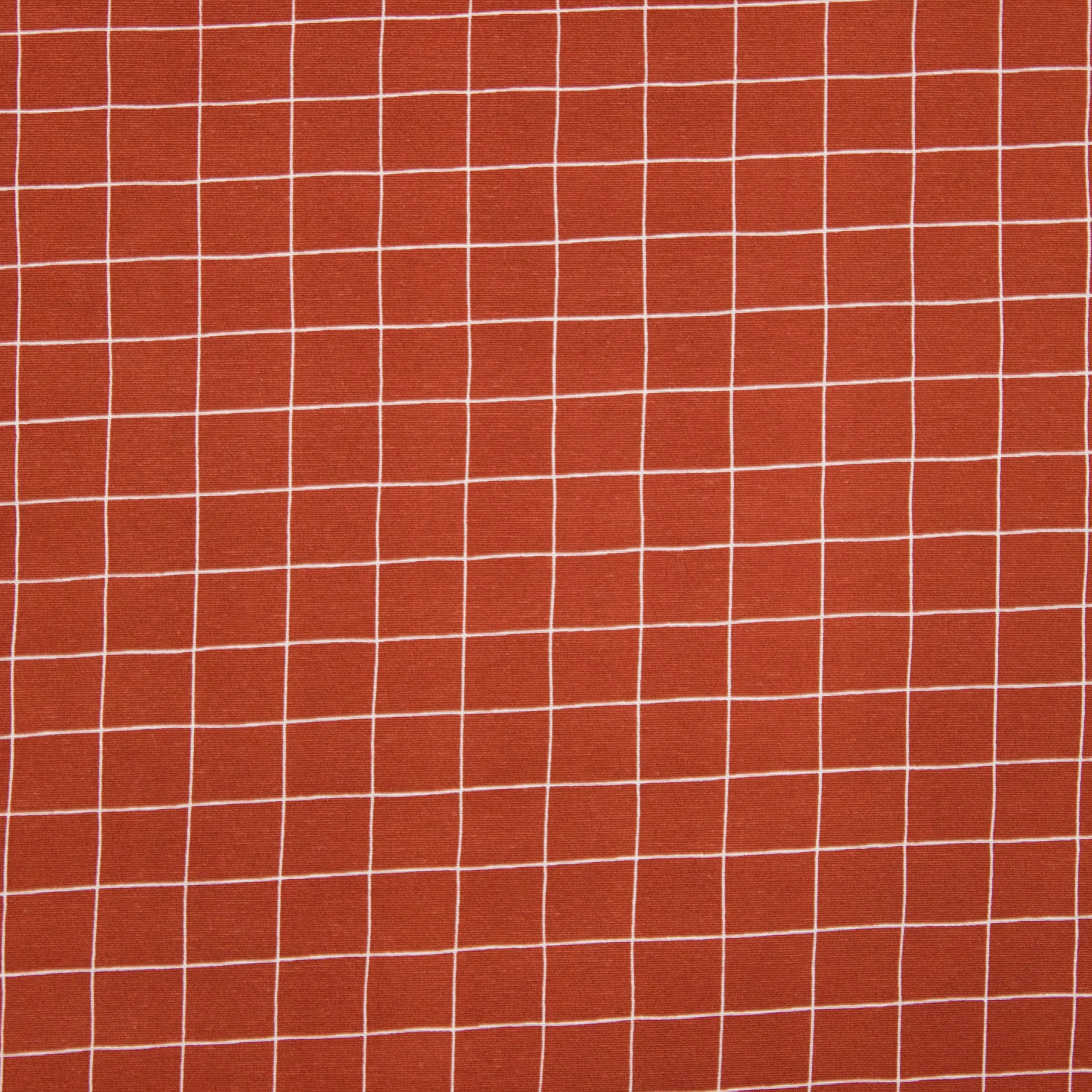 Roeste canvas met ruiten