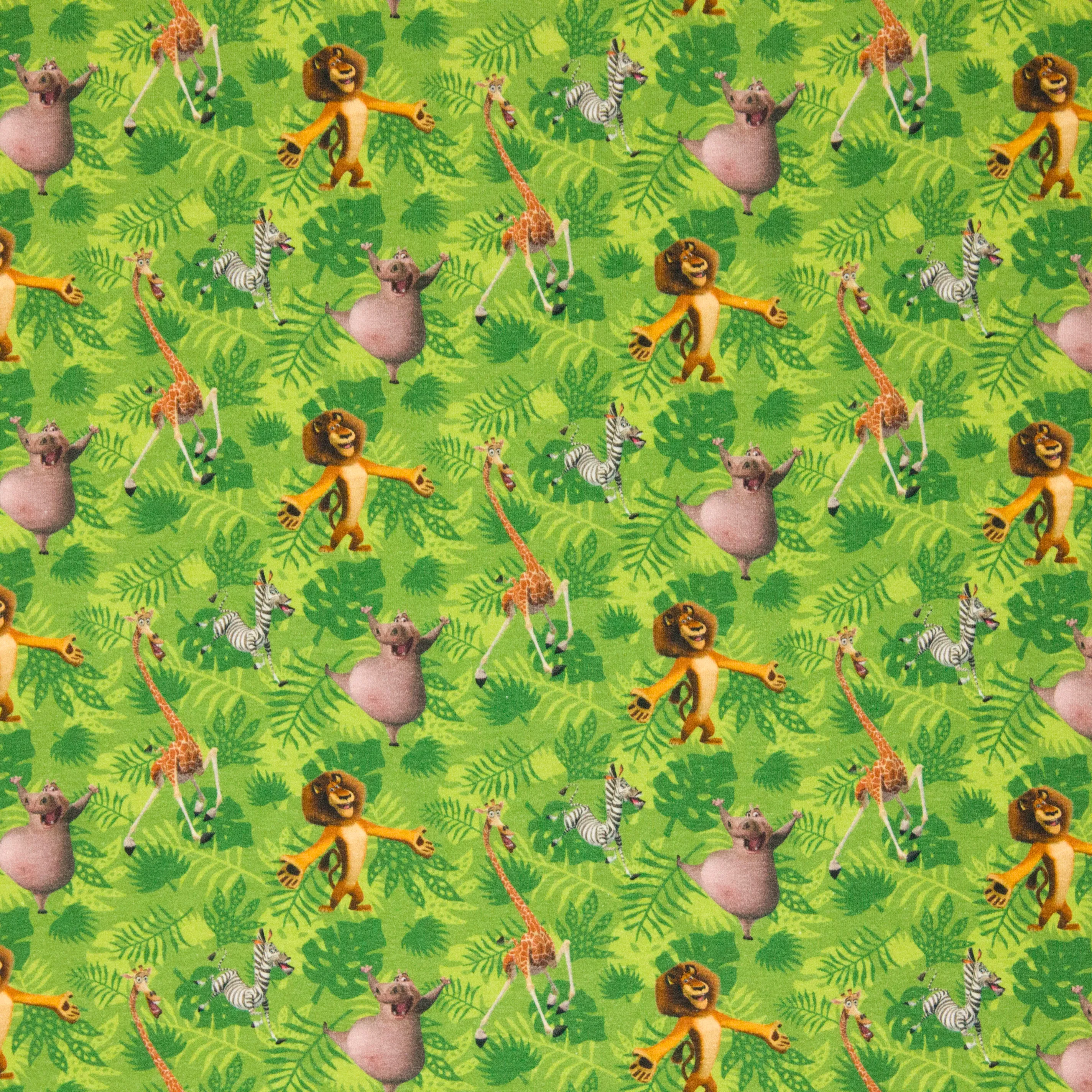 Groene tricot Madagascar