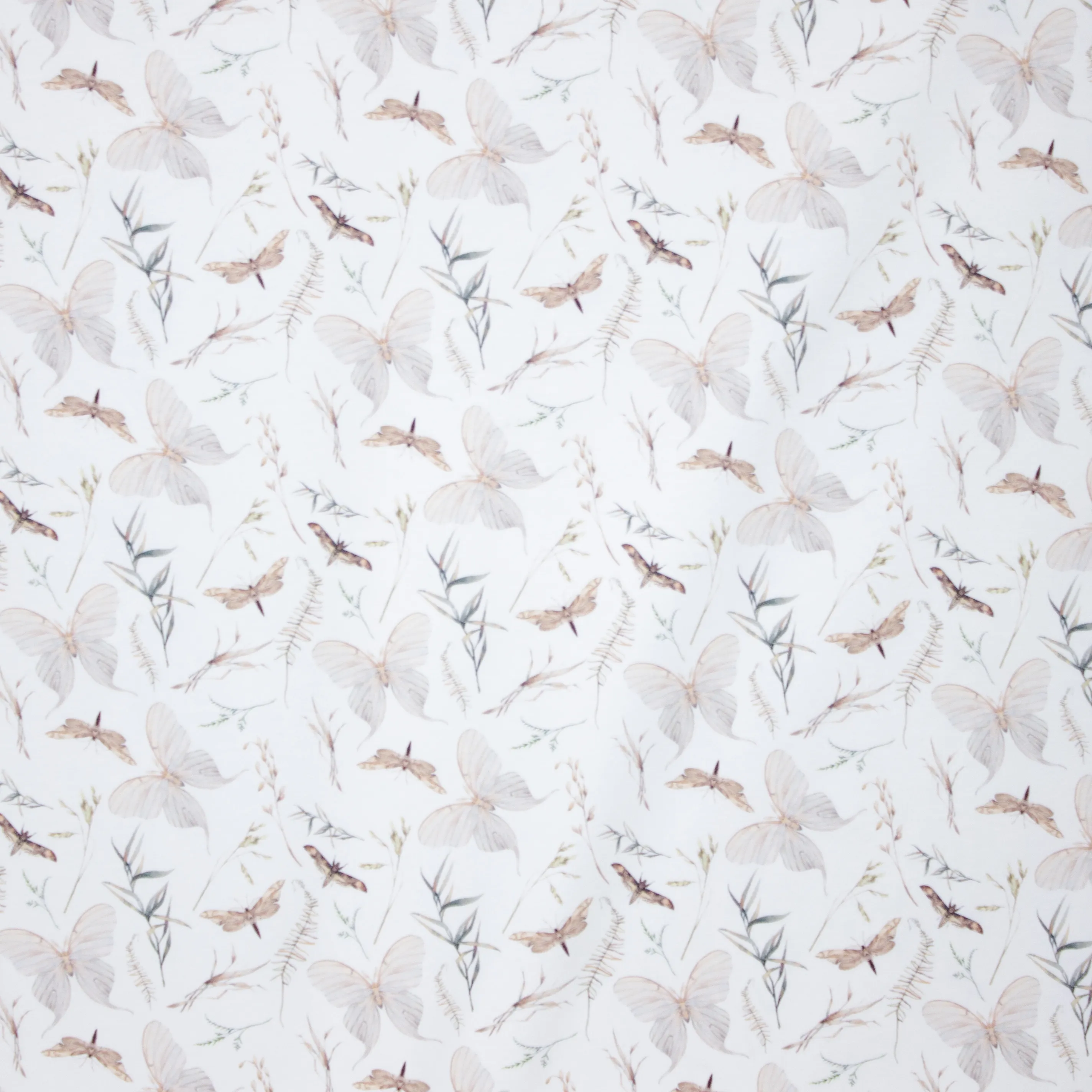 Witte Tricot met Vlinders