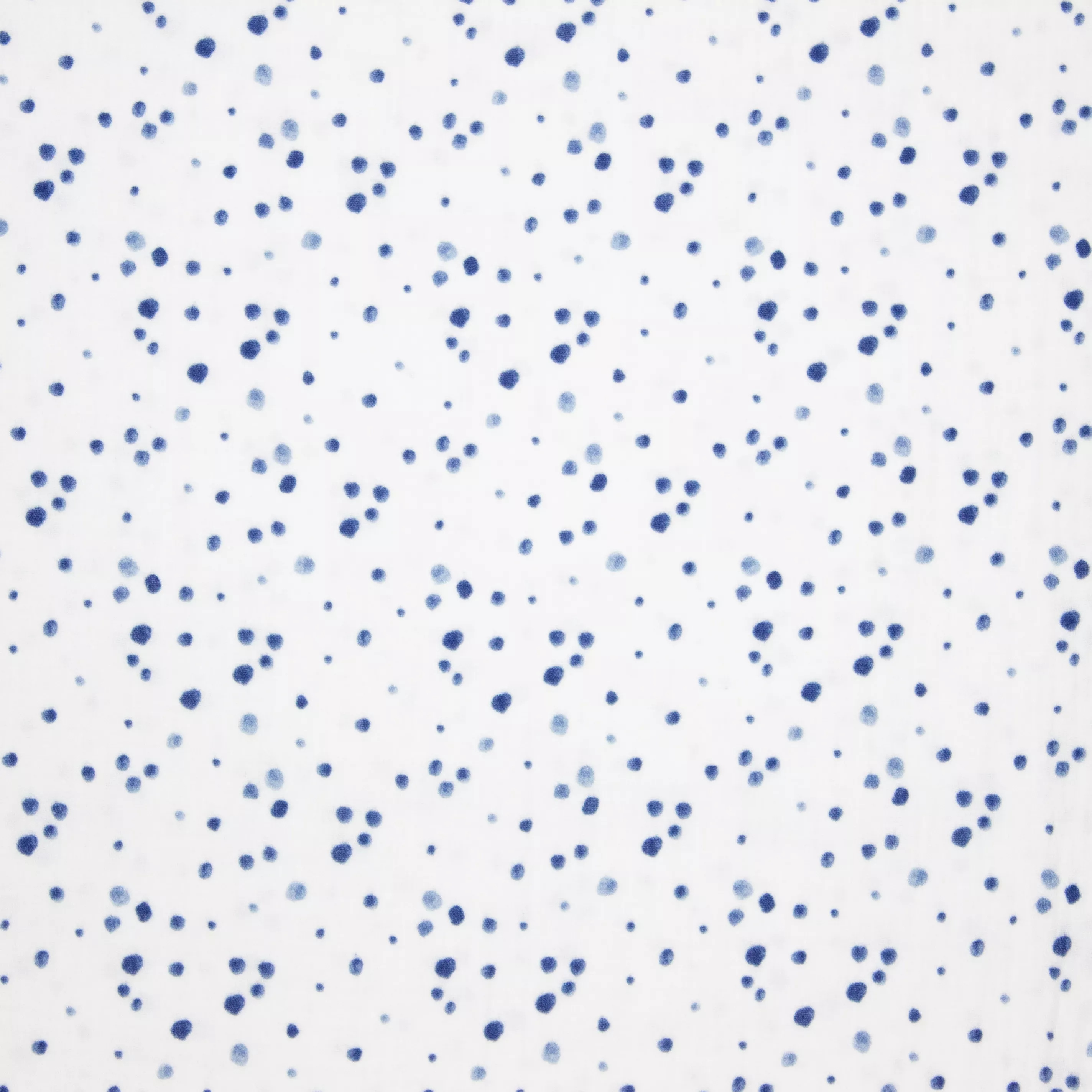 Witte Tetra met Blauwe Stippen