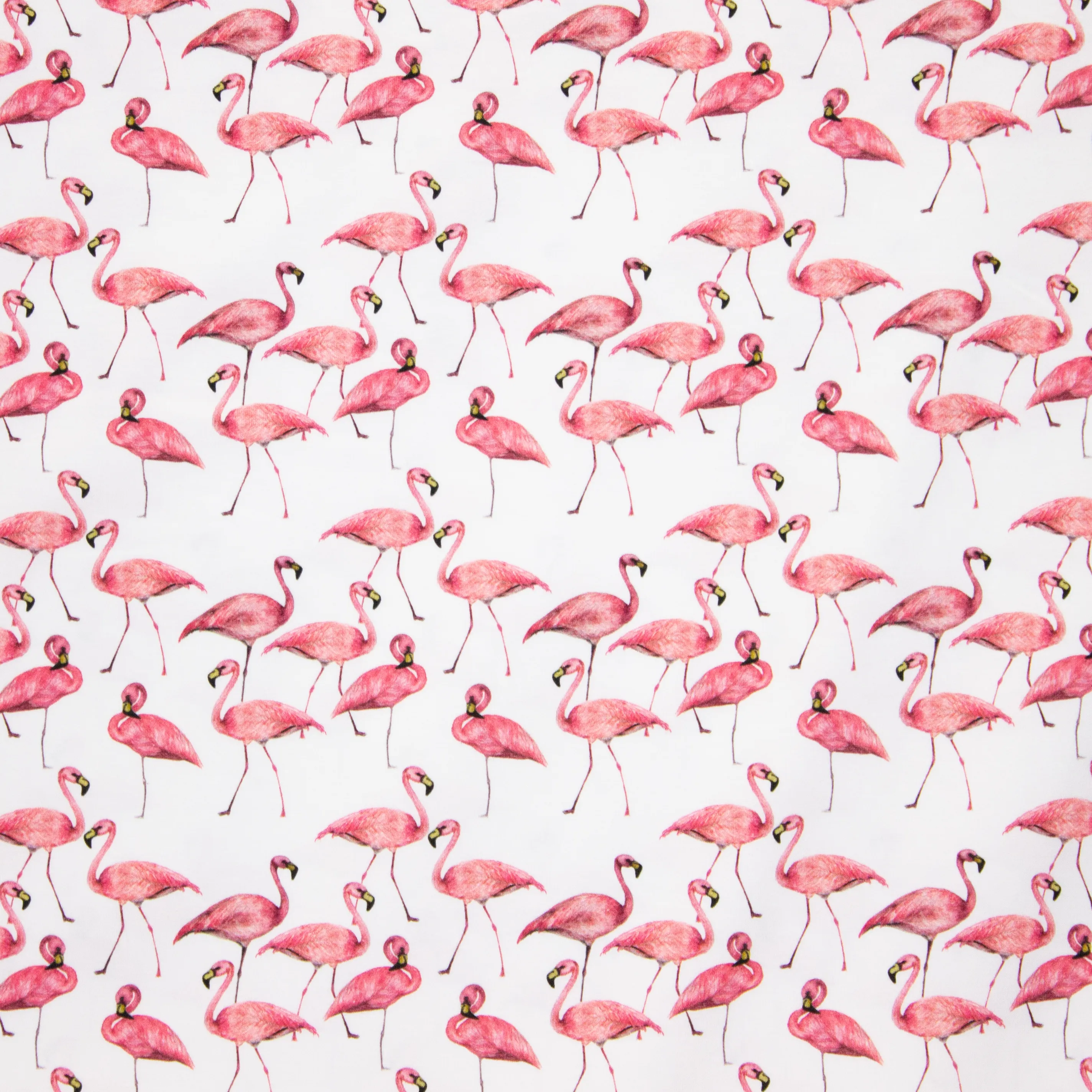 Witte Tricot met Flamingo's