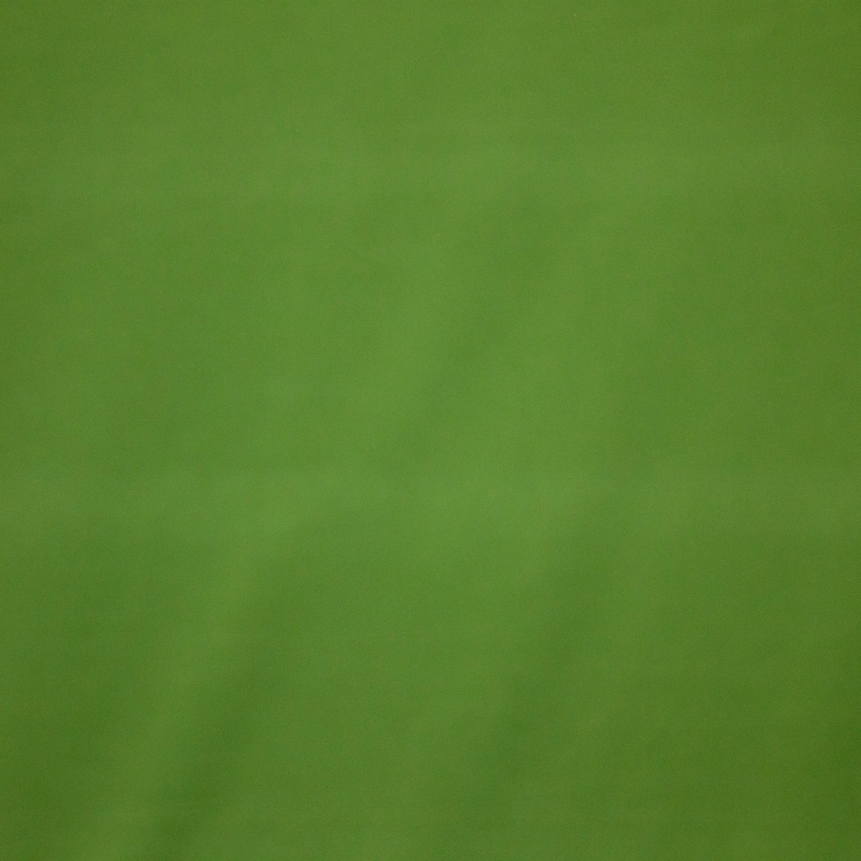 Chrome Green Opaque Katoen Tricot