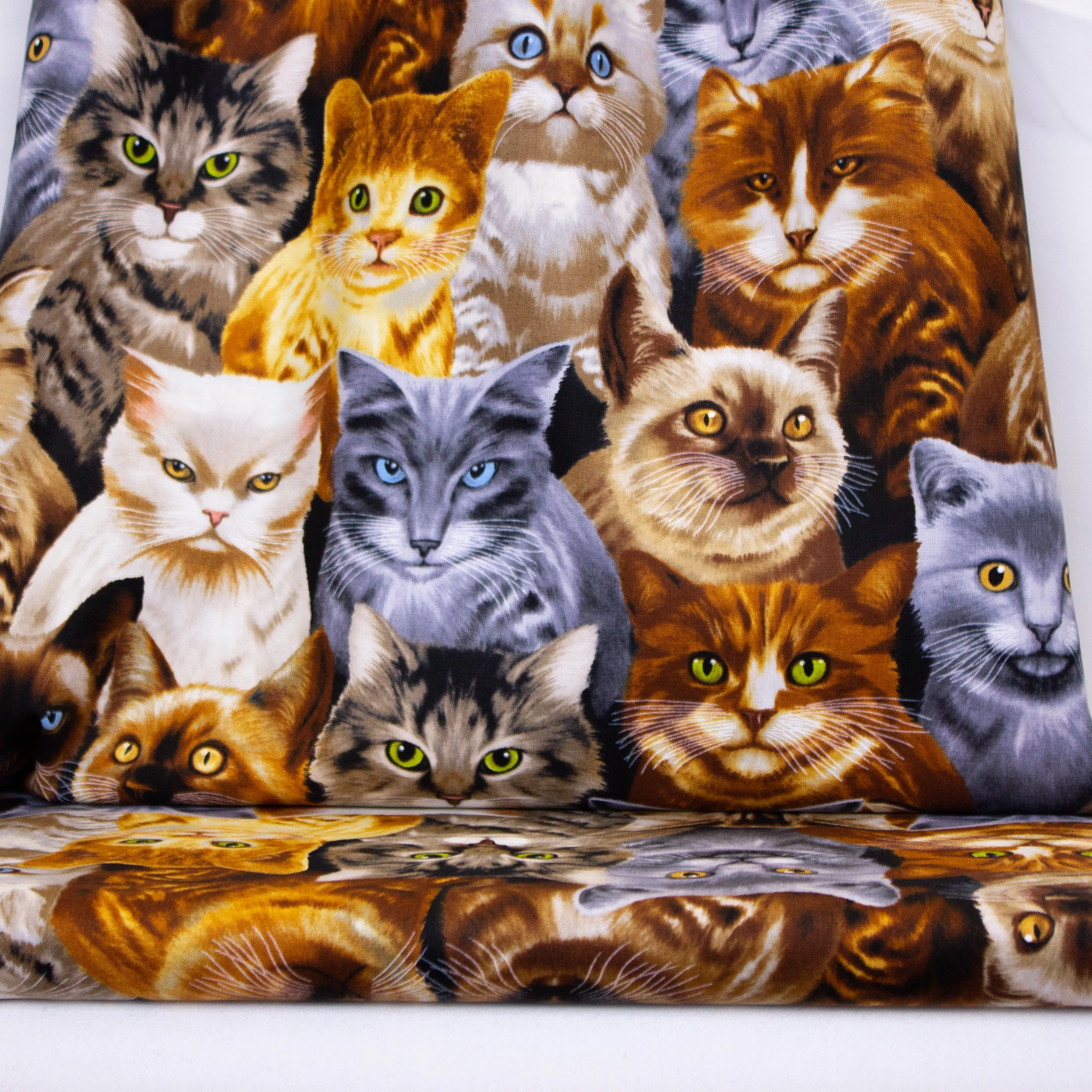 Katoen met katten