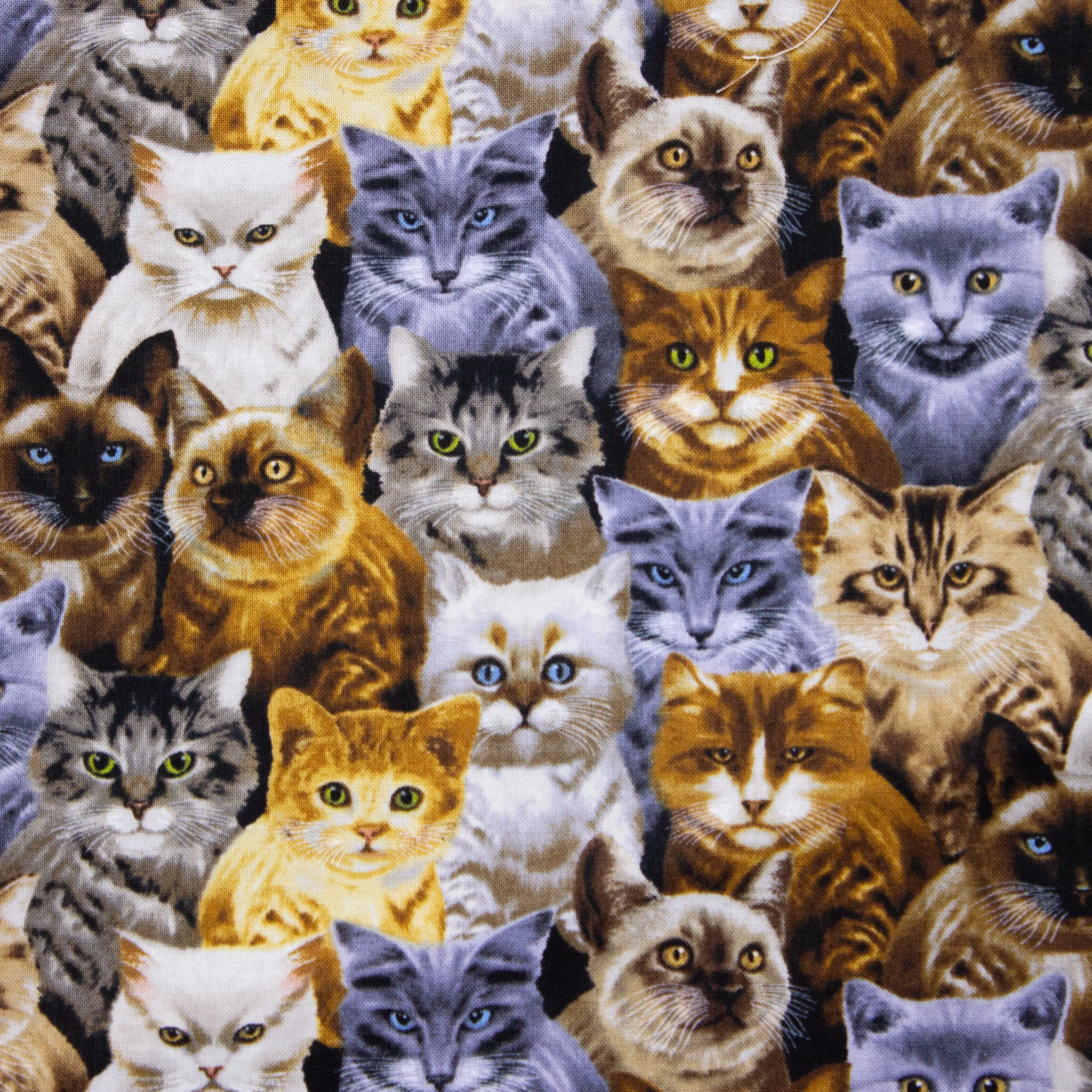 Katoen met katten