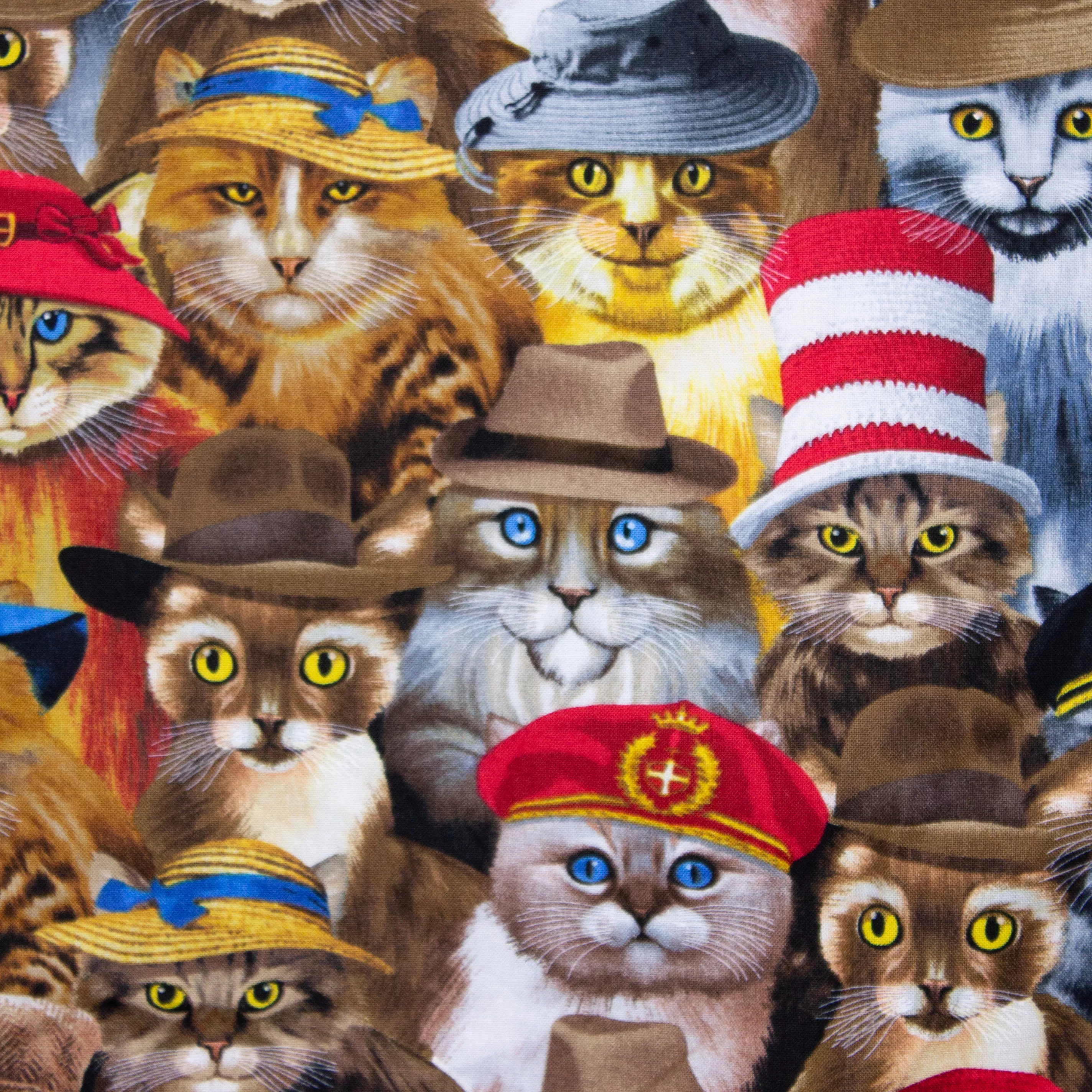 Katoen met katten