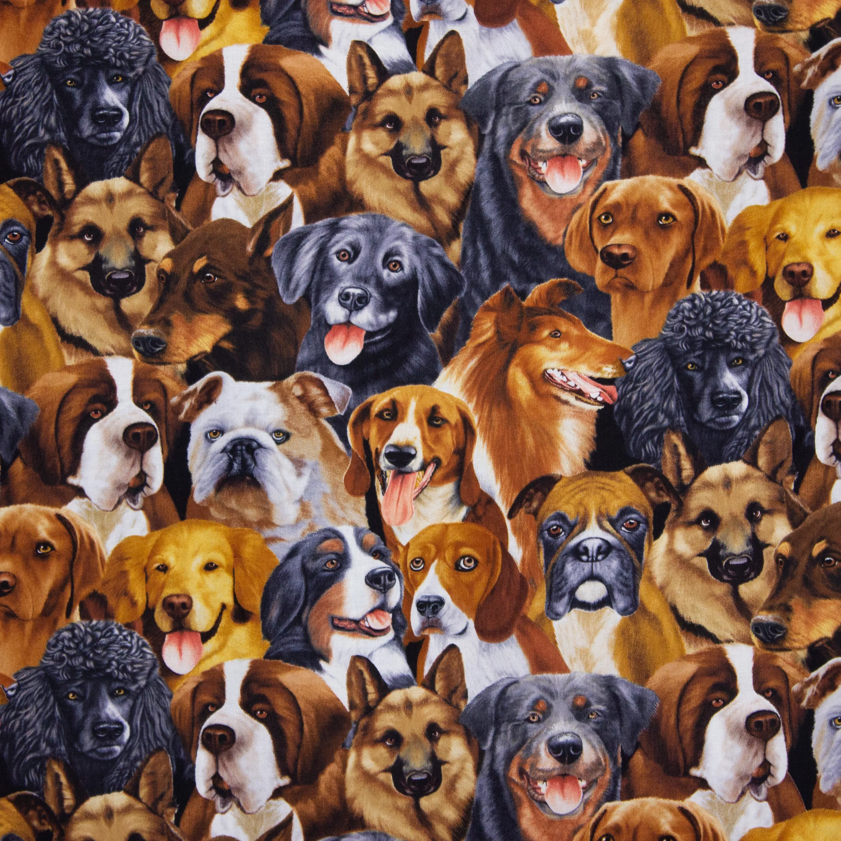 Katoen met honden