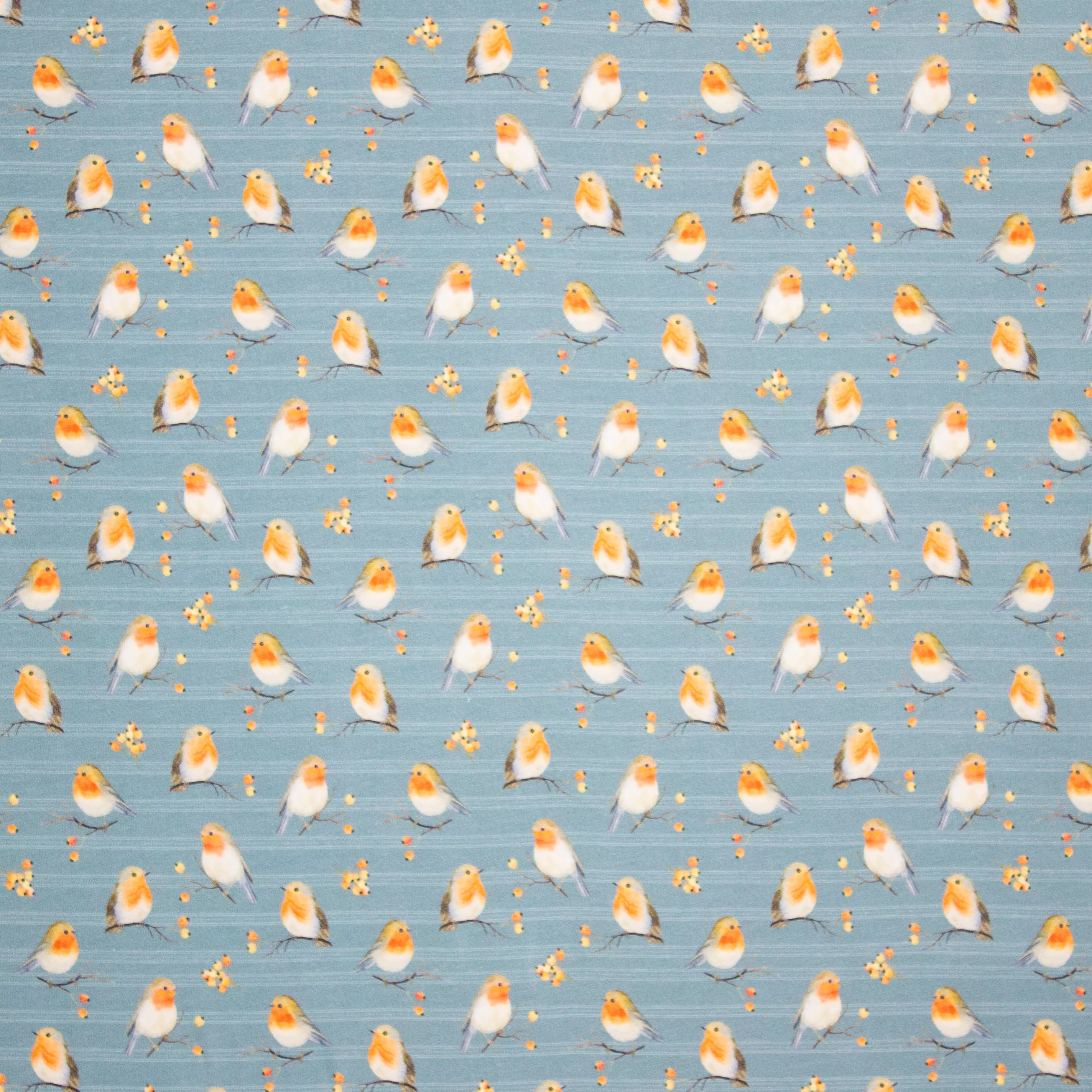 Blauwe tricot met vogeltjes