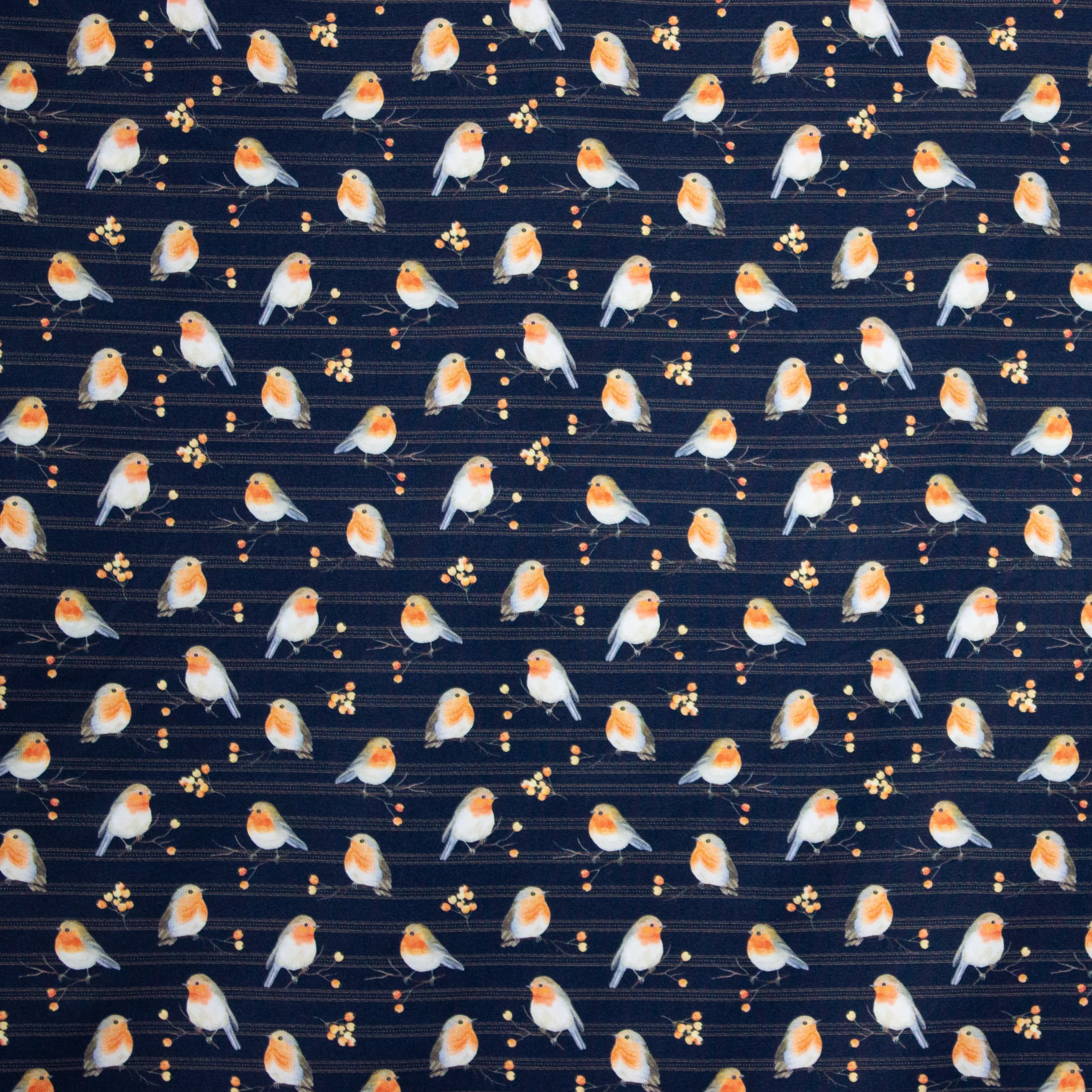 Donkerblauwe tricot met roodborstjes