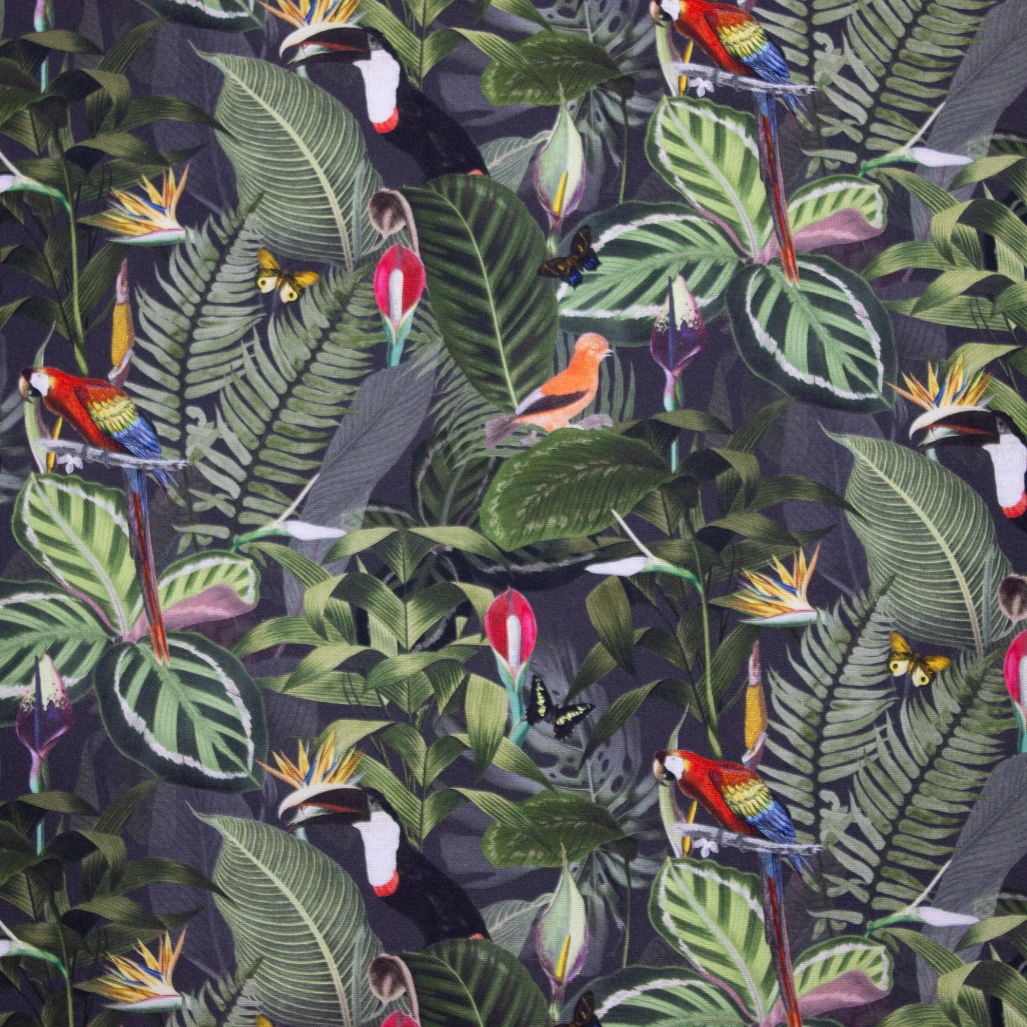 Donkere Canvas met Woud en Exotische Vogels