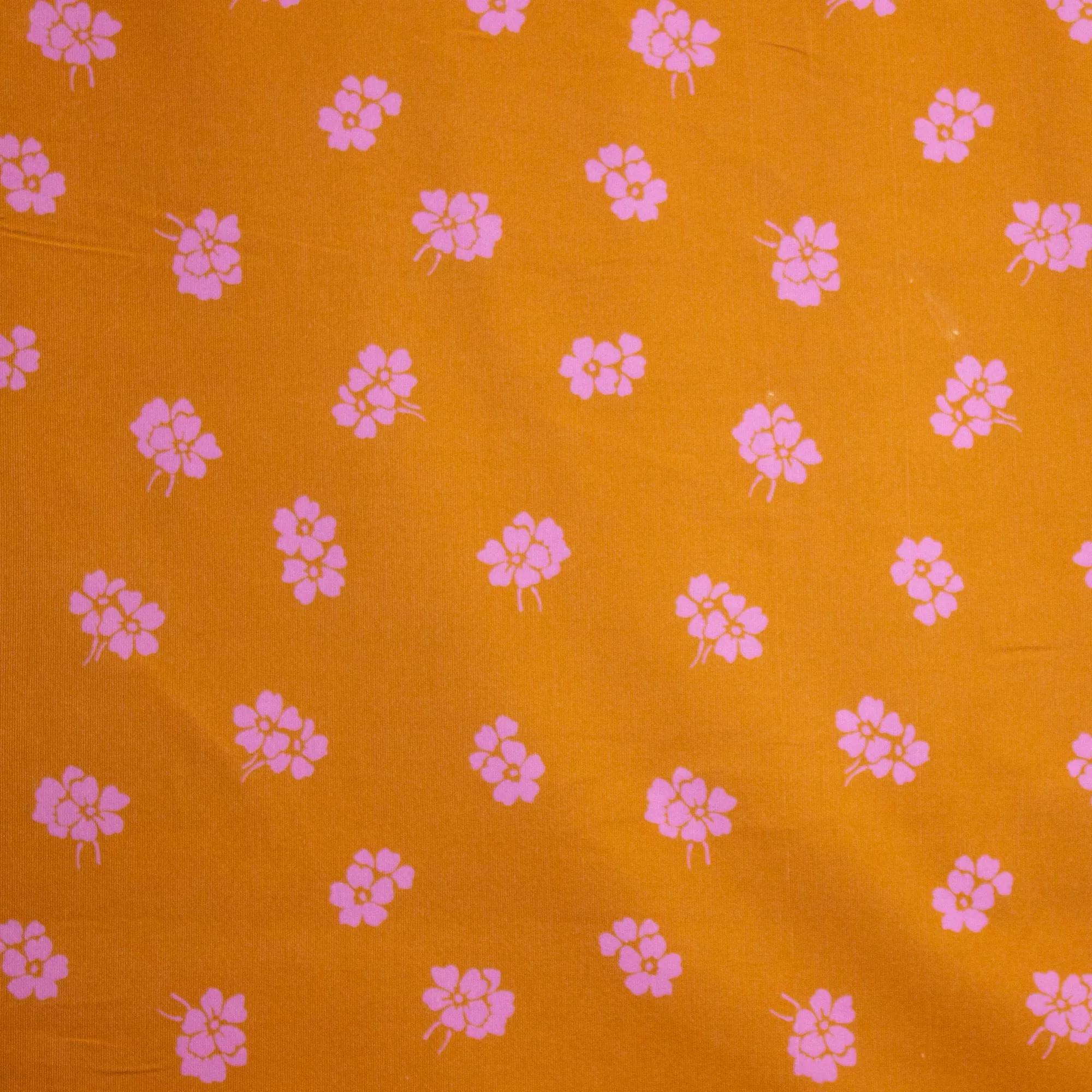 Oranje Ribfluweel van La Maison Victor