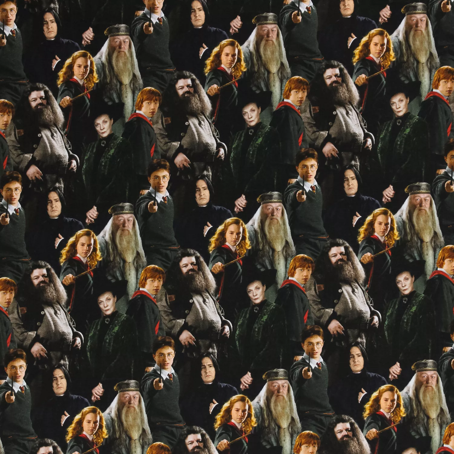 Tricot Harry Potter print