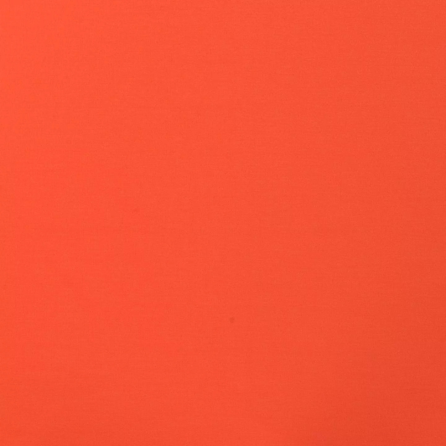 Zomerpunta oranje
