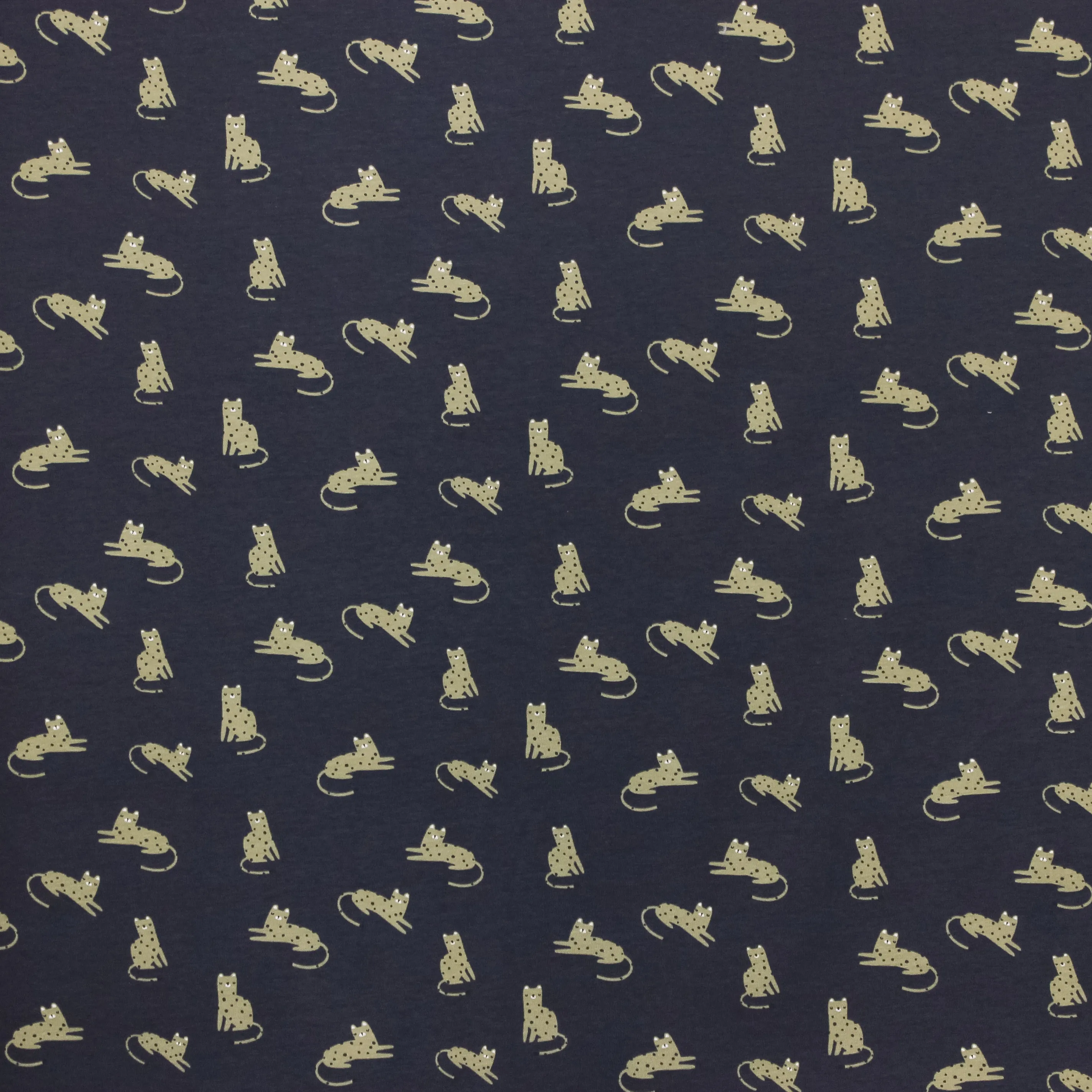 Donker Blauwe Tricot met Katten