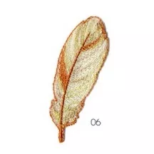 Applicatie - veer koper & zilver - 7 x 2,cm