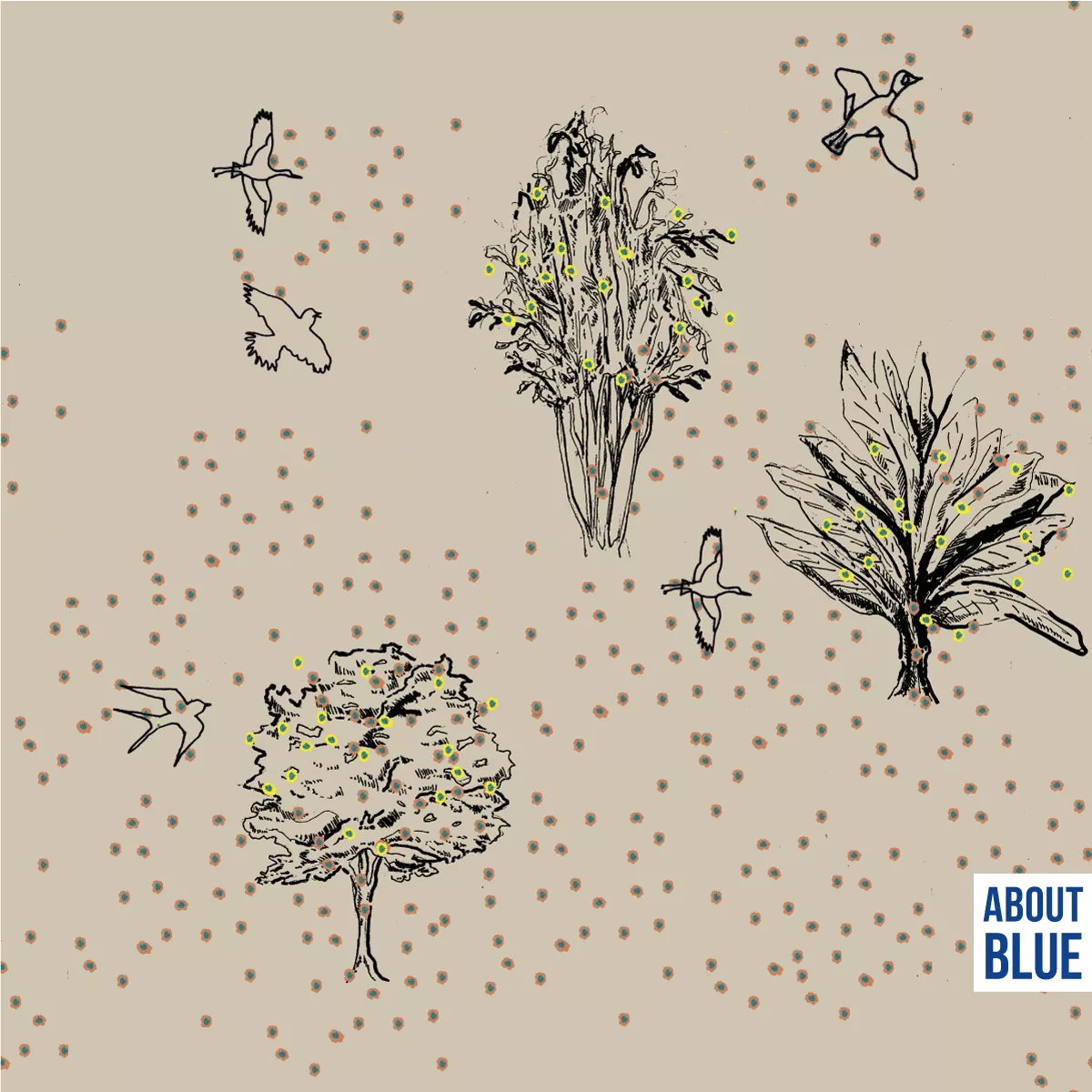 In Spring french terry van About Blue