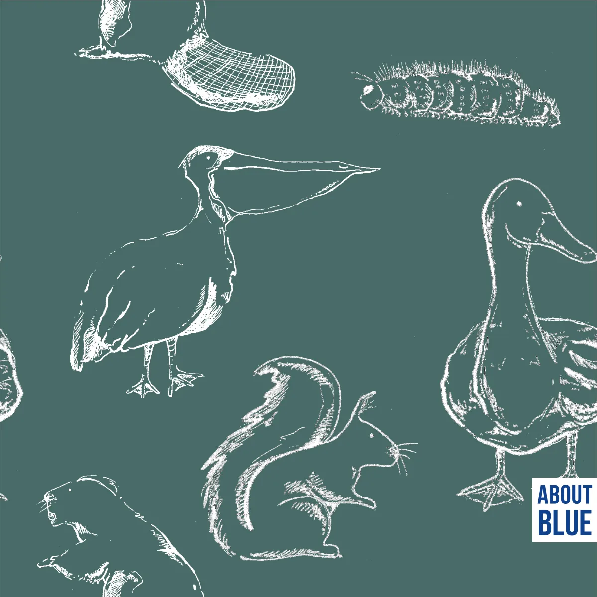 Nature book french terry van About Blue