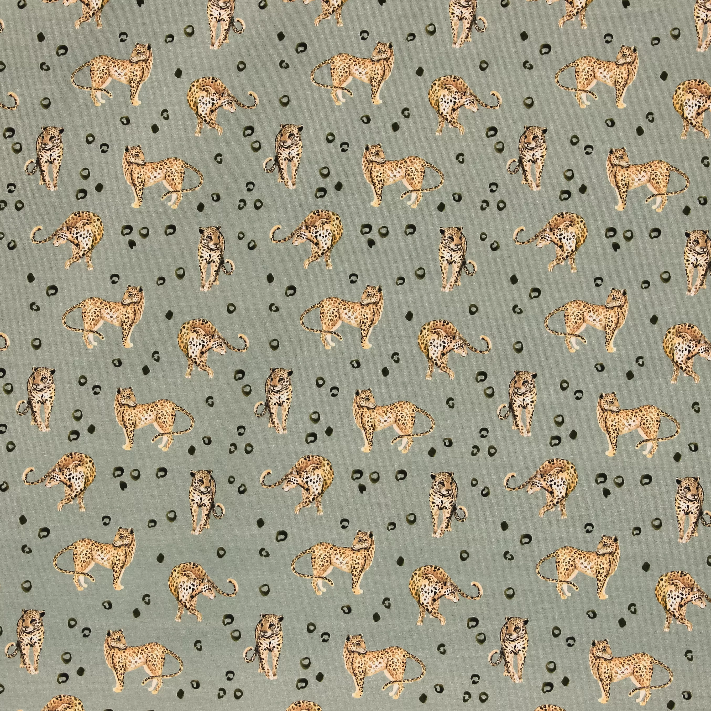 Tricot grijsgroen met luipaarden