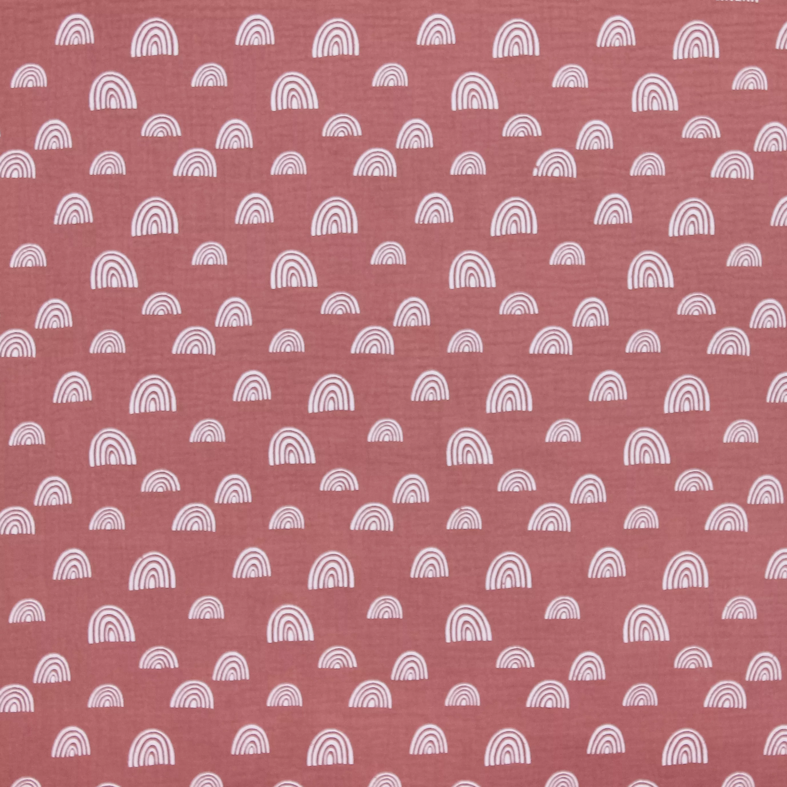 Tetra roze met witte regenboogjes