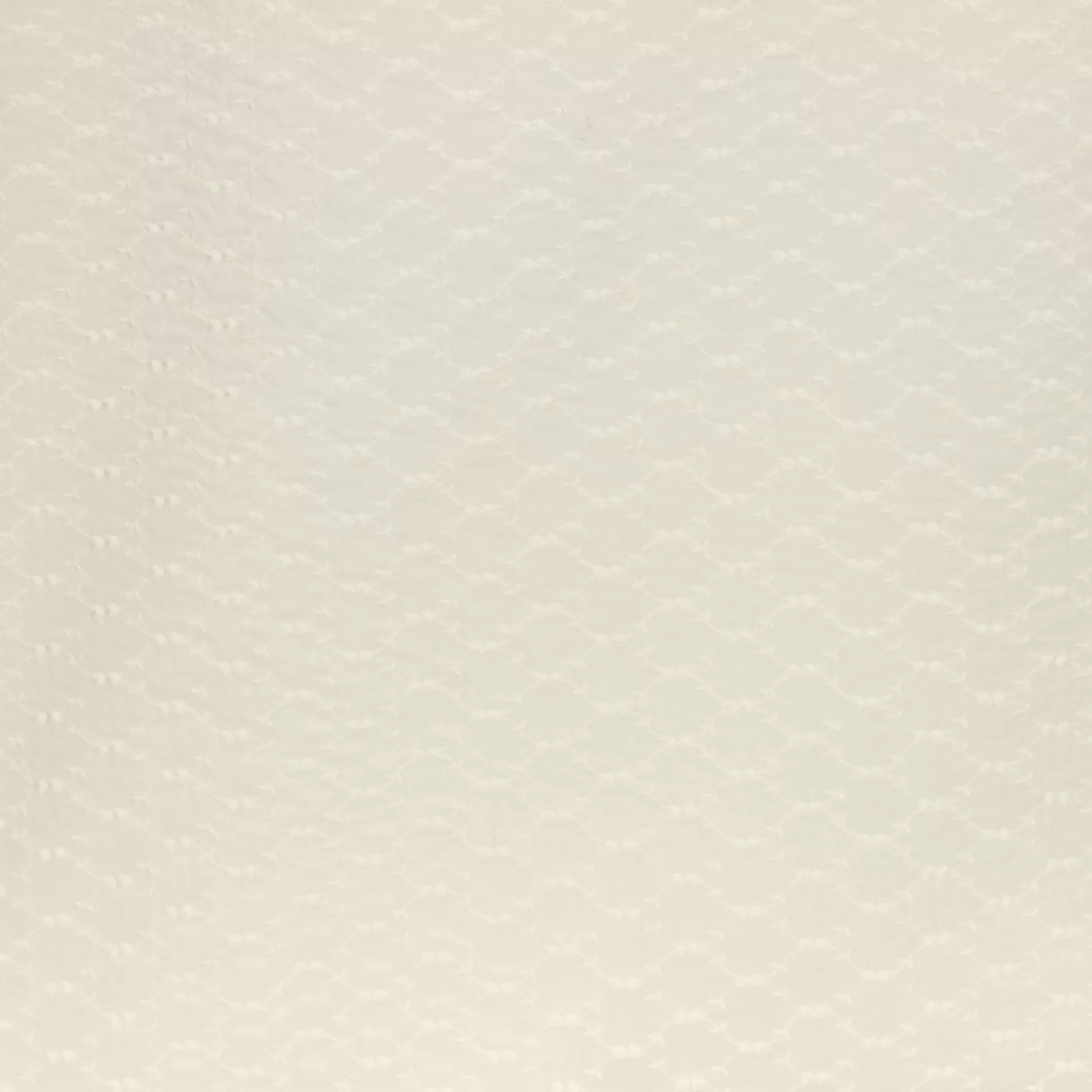 Katoen broderie wit kleine bloemetjes