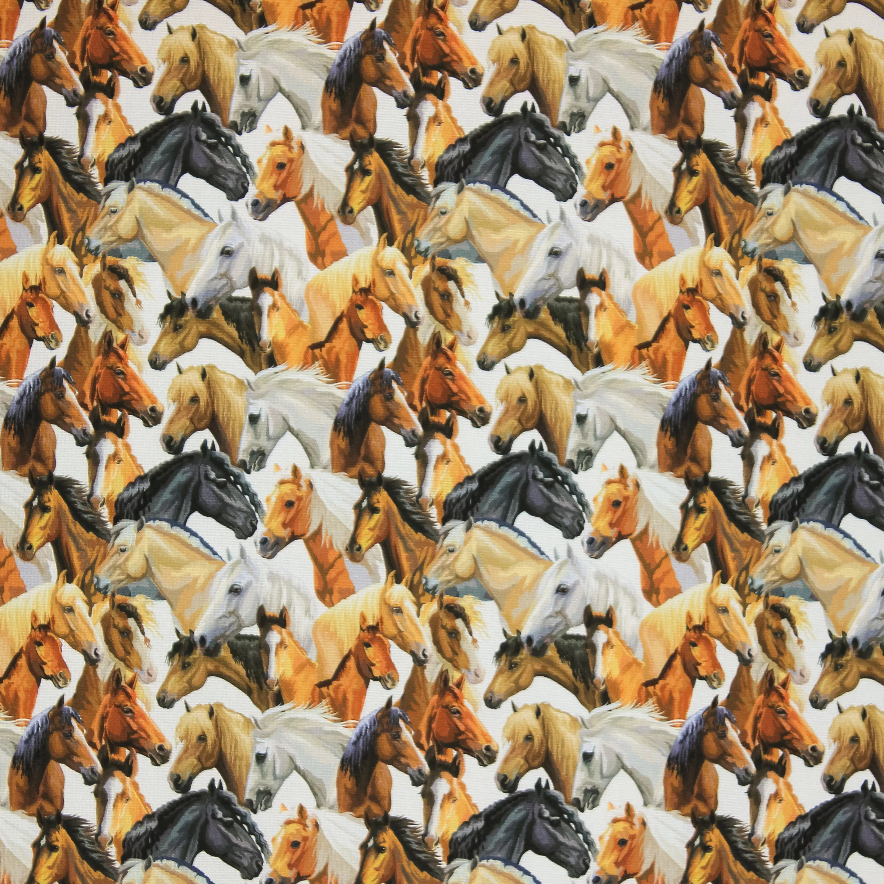 Canvas wit met paarden