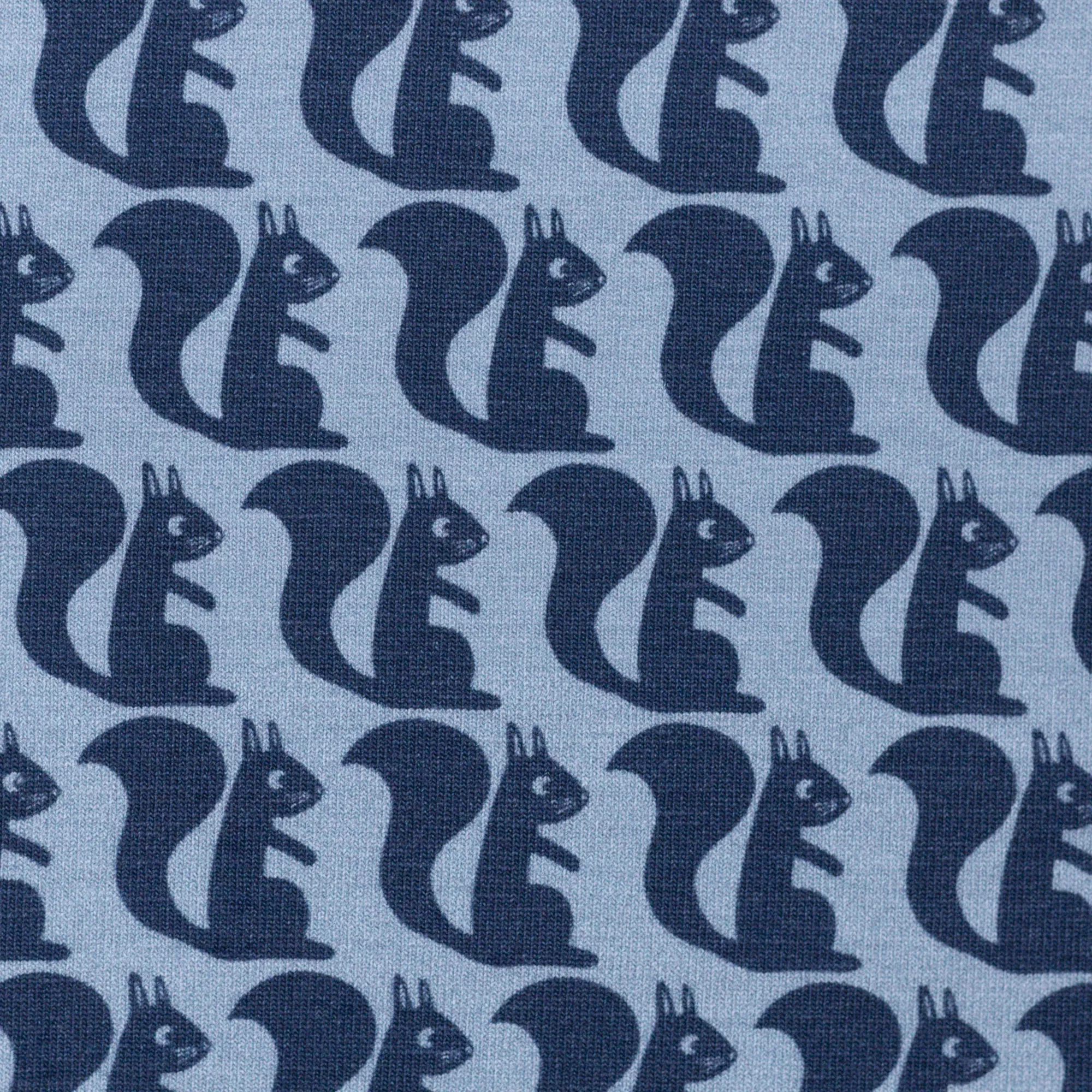 Blauwe tricot met eekhoorns
