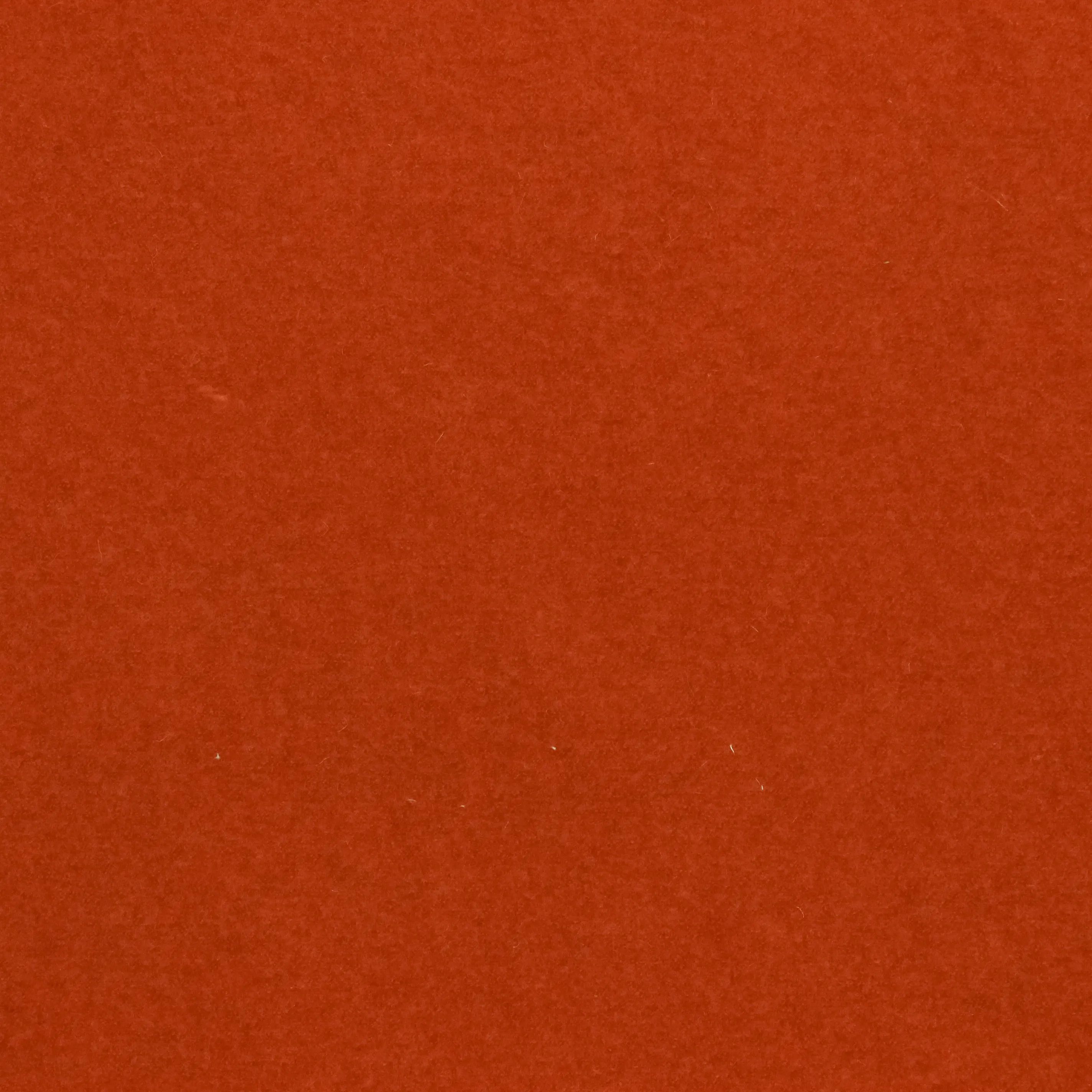 Wol effen oranje
