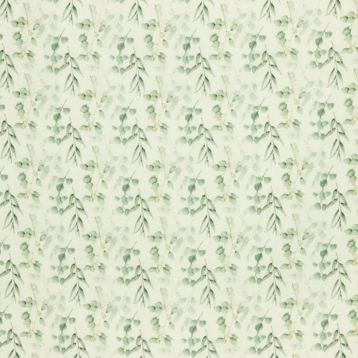Tetra wit met eucalyptus