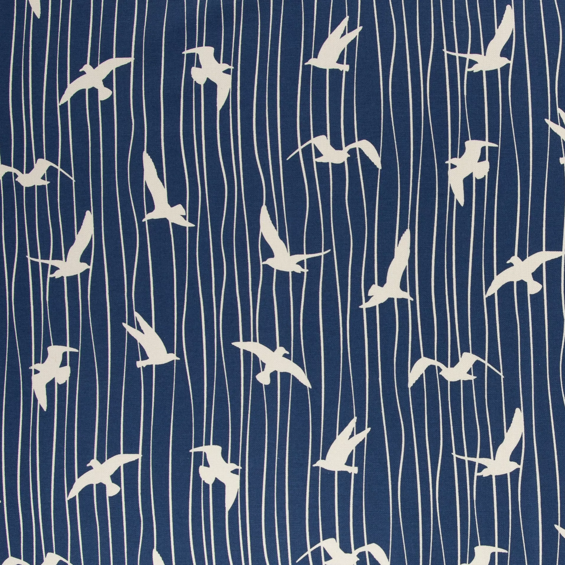 Canvas blauw met vogels