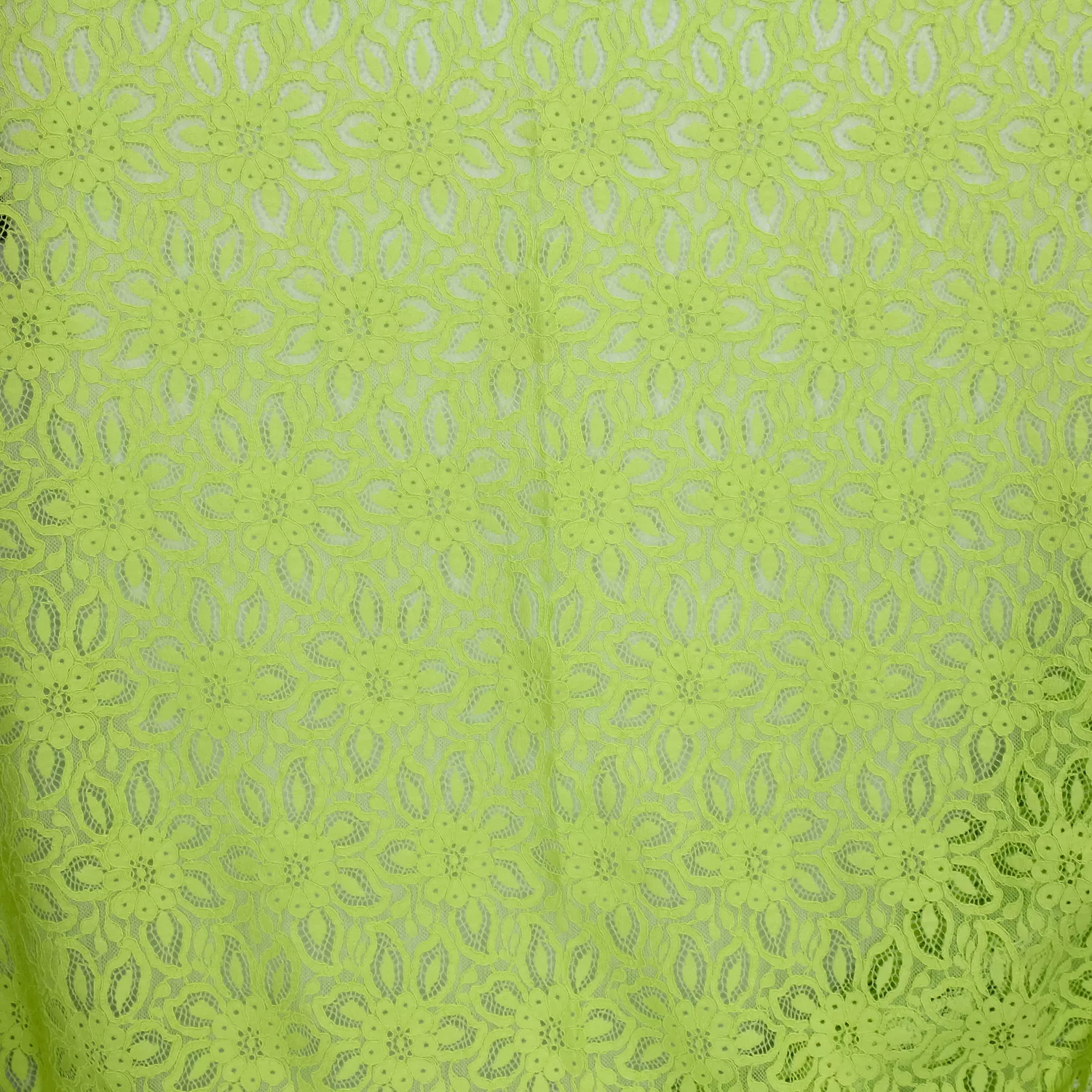 Kant lente groen