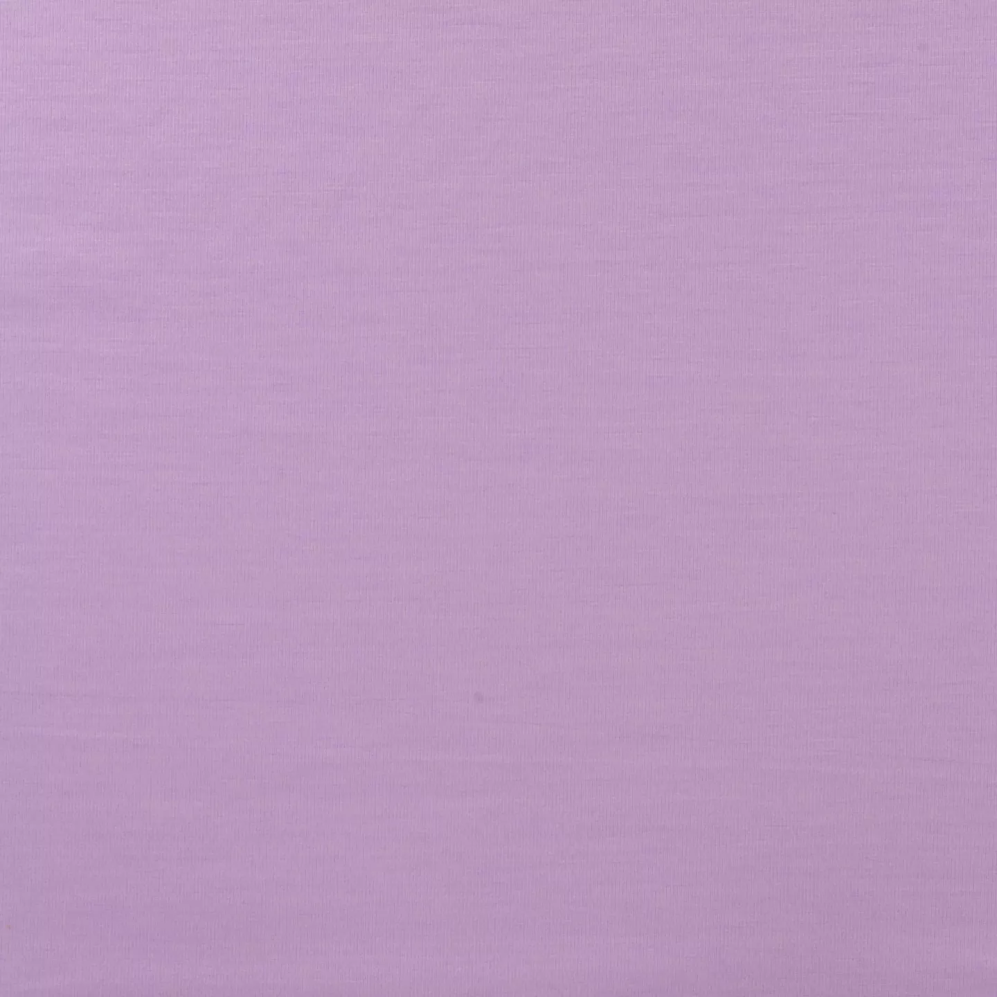 Zomerpunta dusty lilac