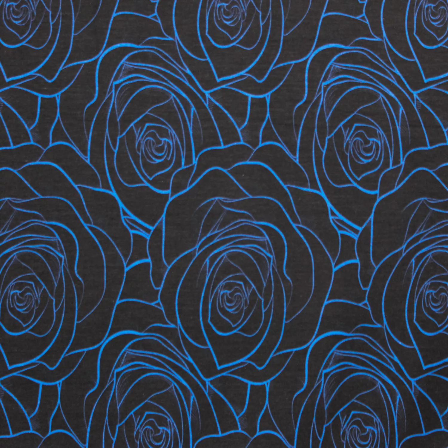 French Terry zwart met blauwe rozen