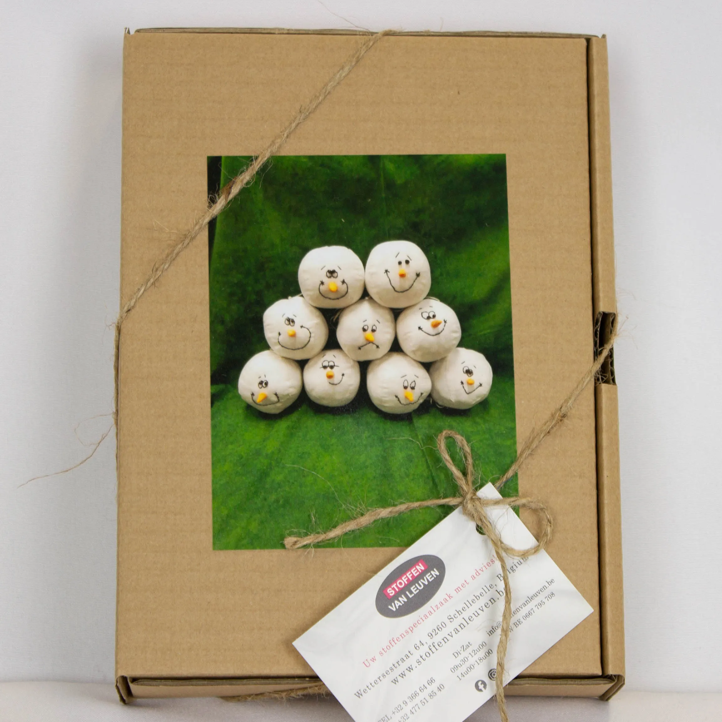 Pakket DIY Sneeuwbal plezier 9 Stuks