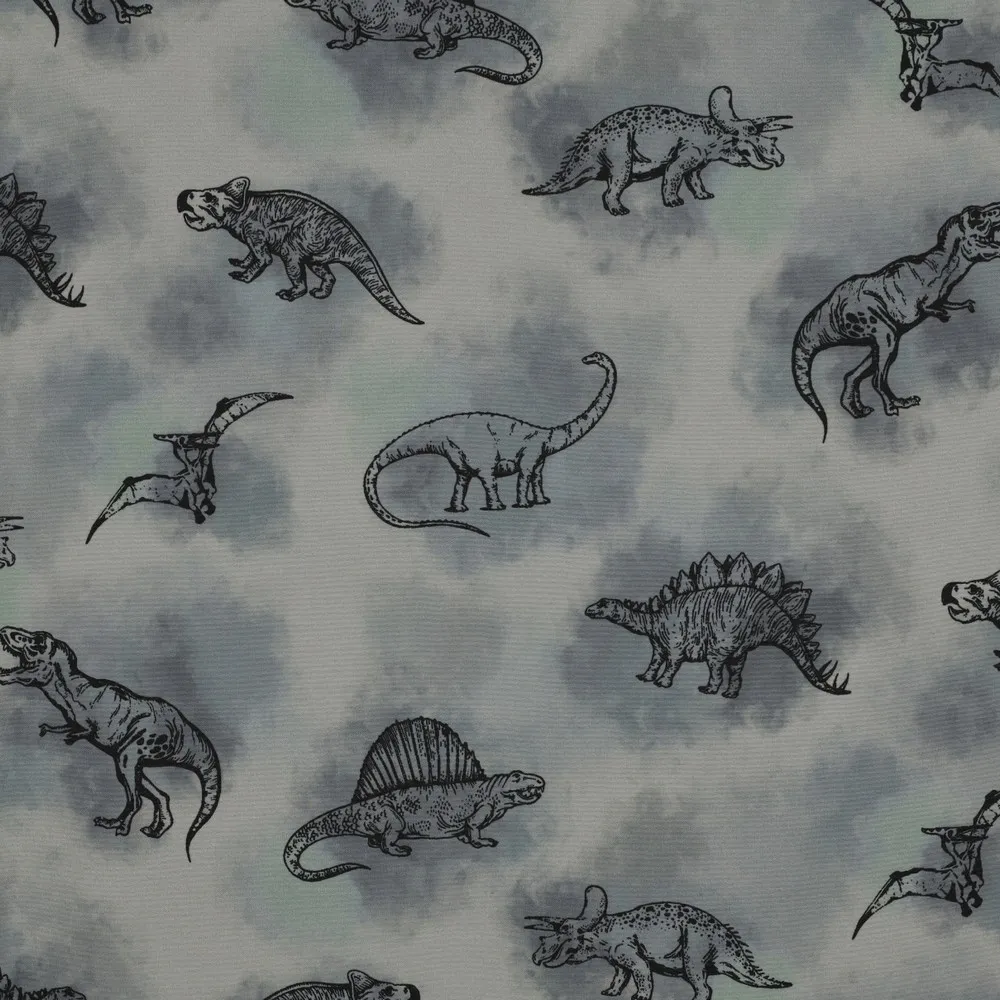 Softshell grijs met dino's