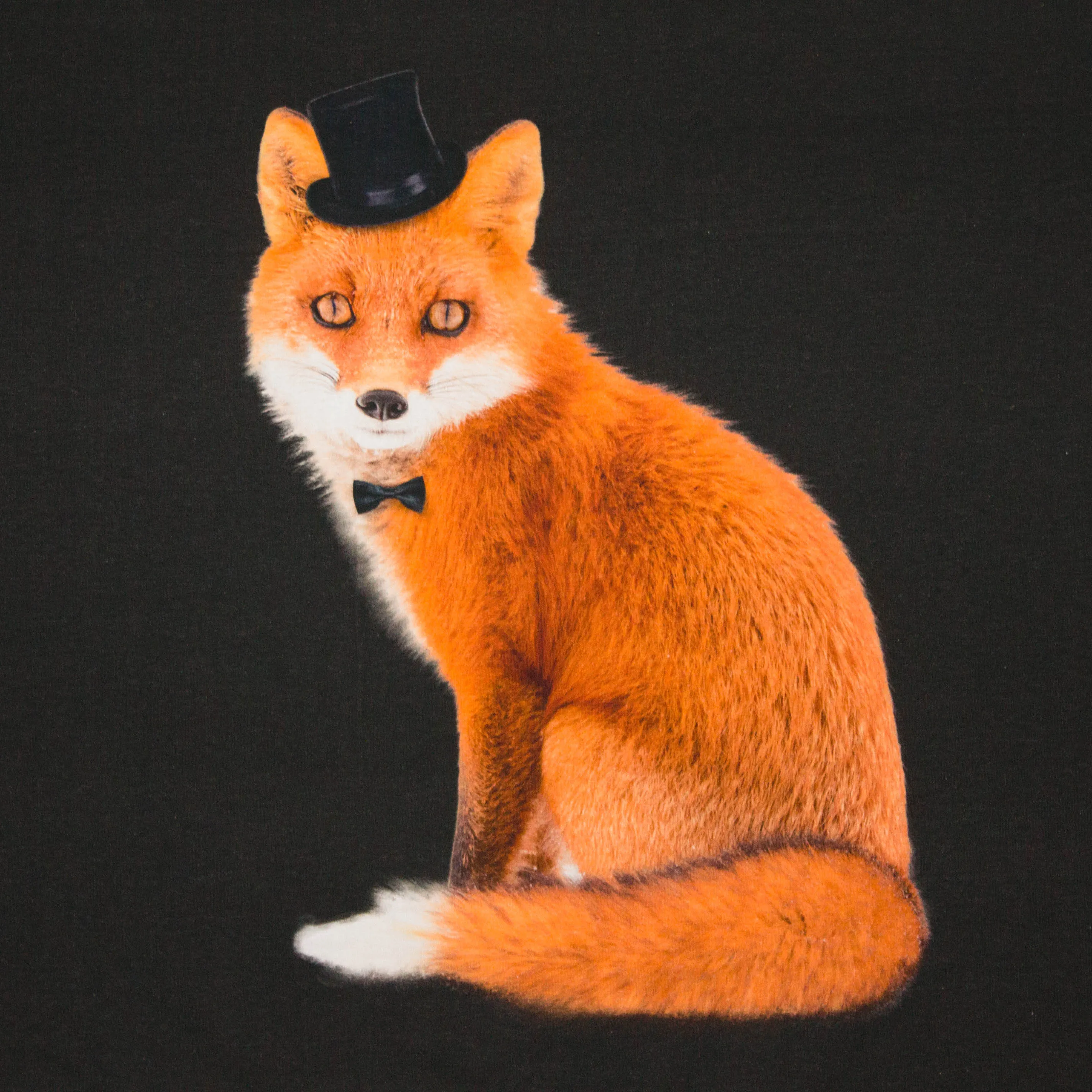 Fotopaneel vos