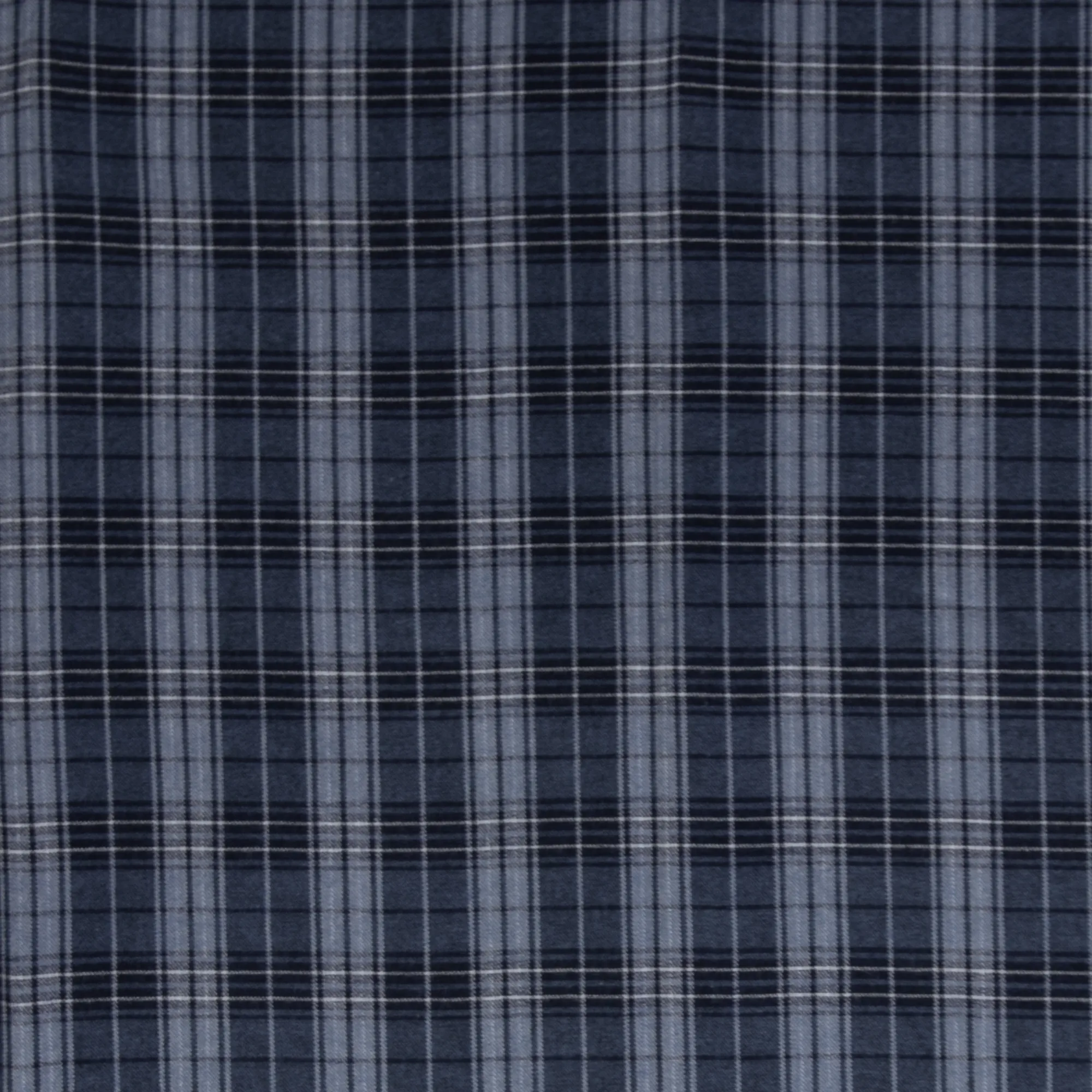 Flanel blauw / wit met ruiten