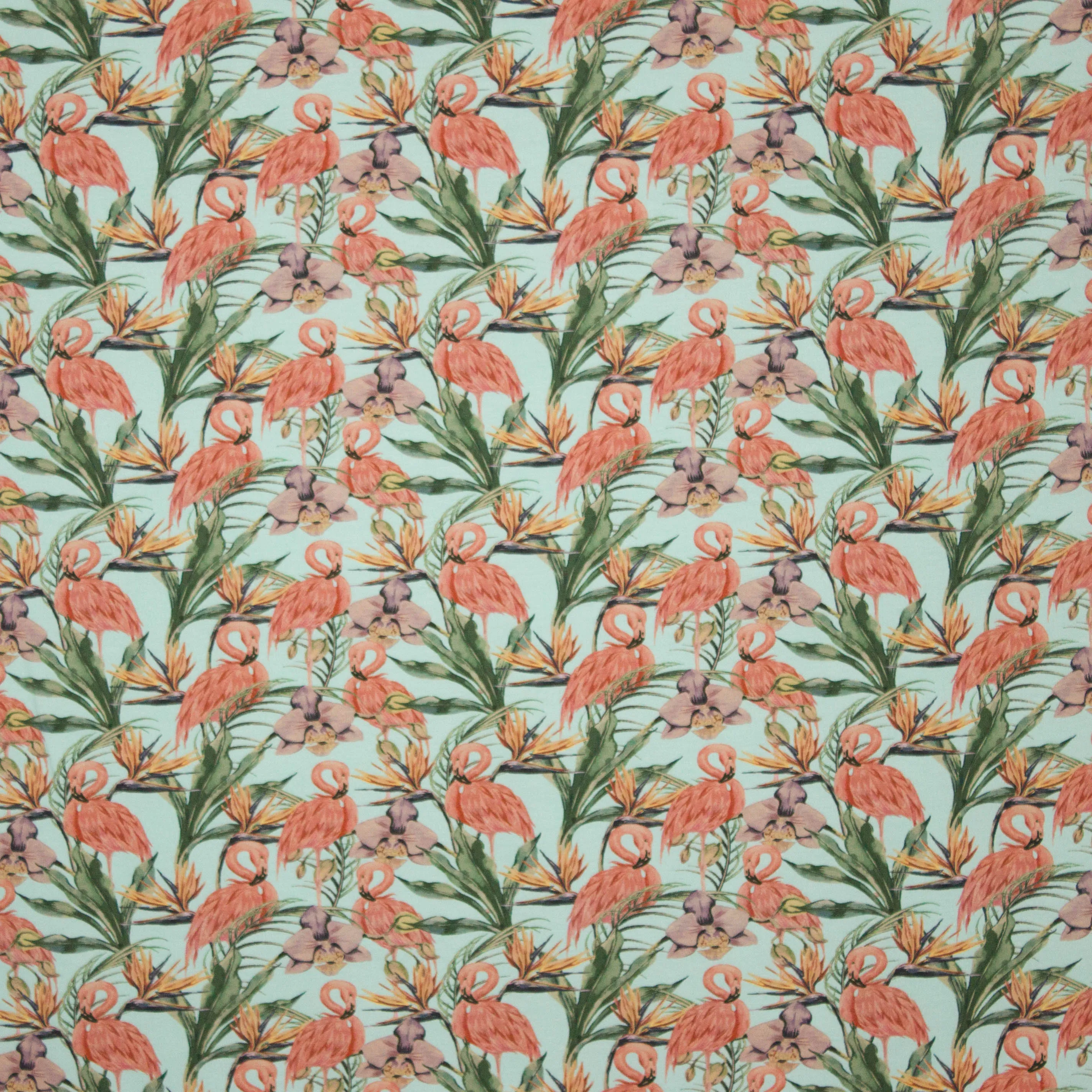 Tricot munt flamingo motief