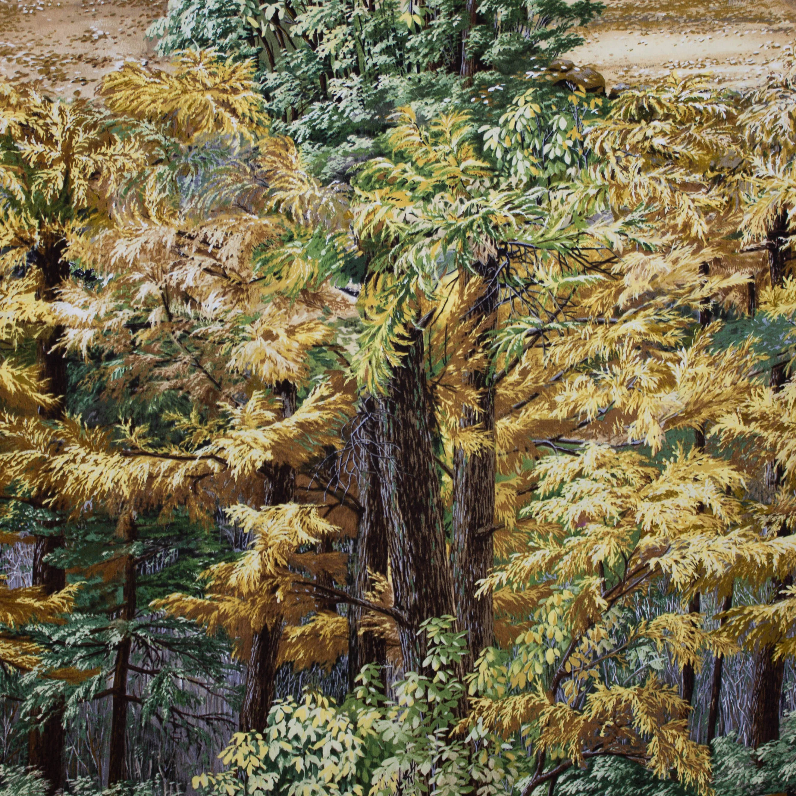 Katoen bomen