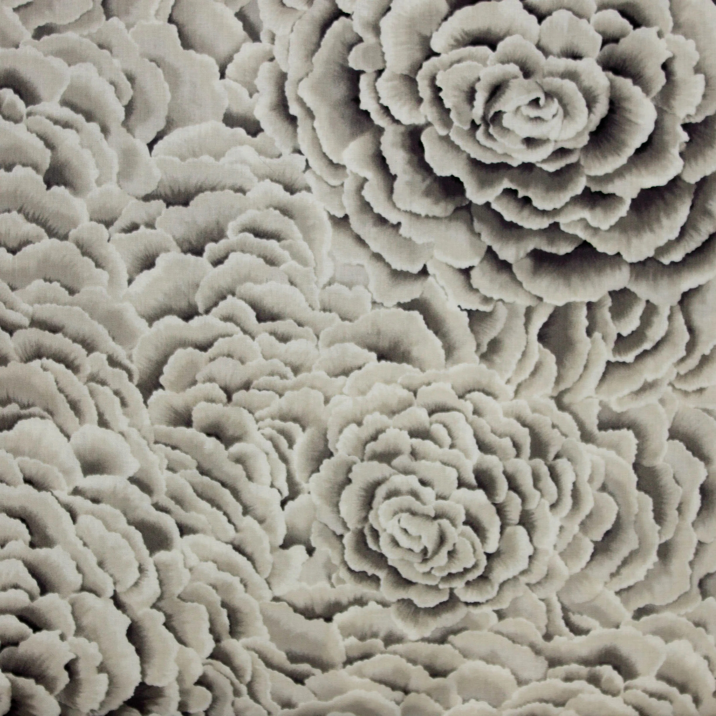 Katoen met witte rozen