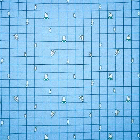 Tricot blauw Nijntje